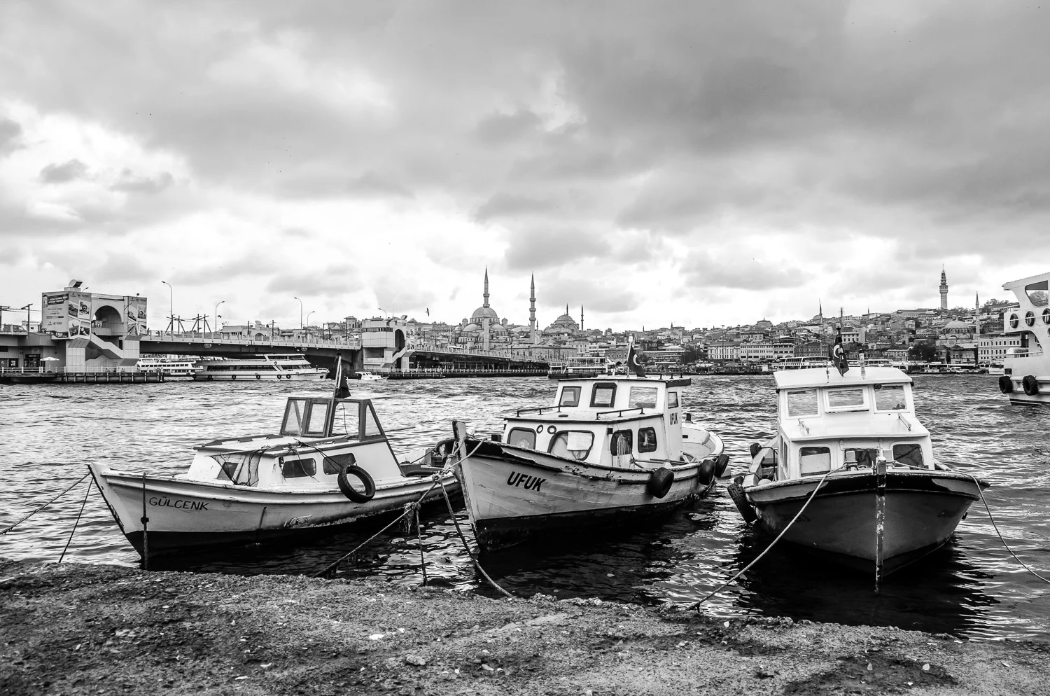 DSC_0329.jpg