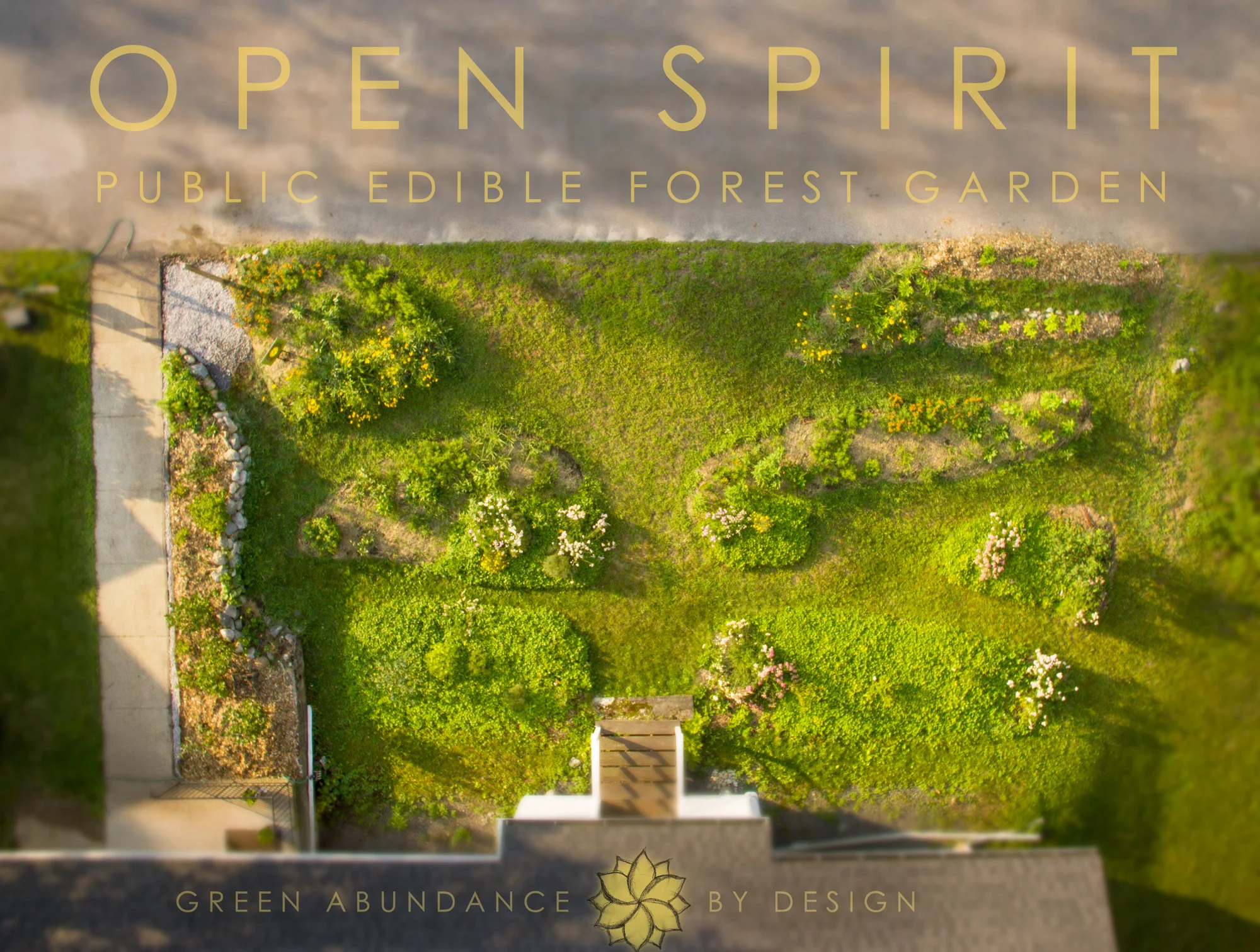 Open-Spirit-EFG-map-drone.jpg