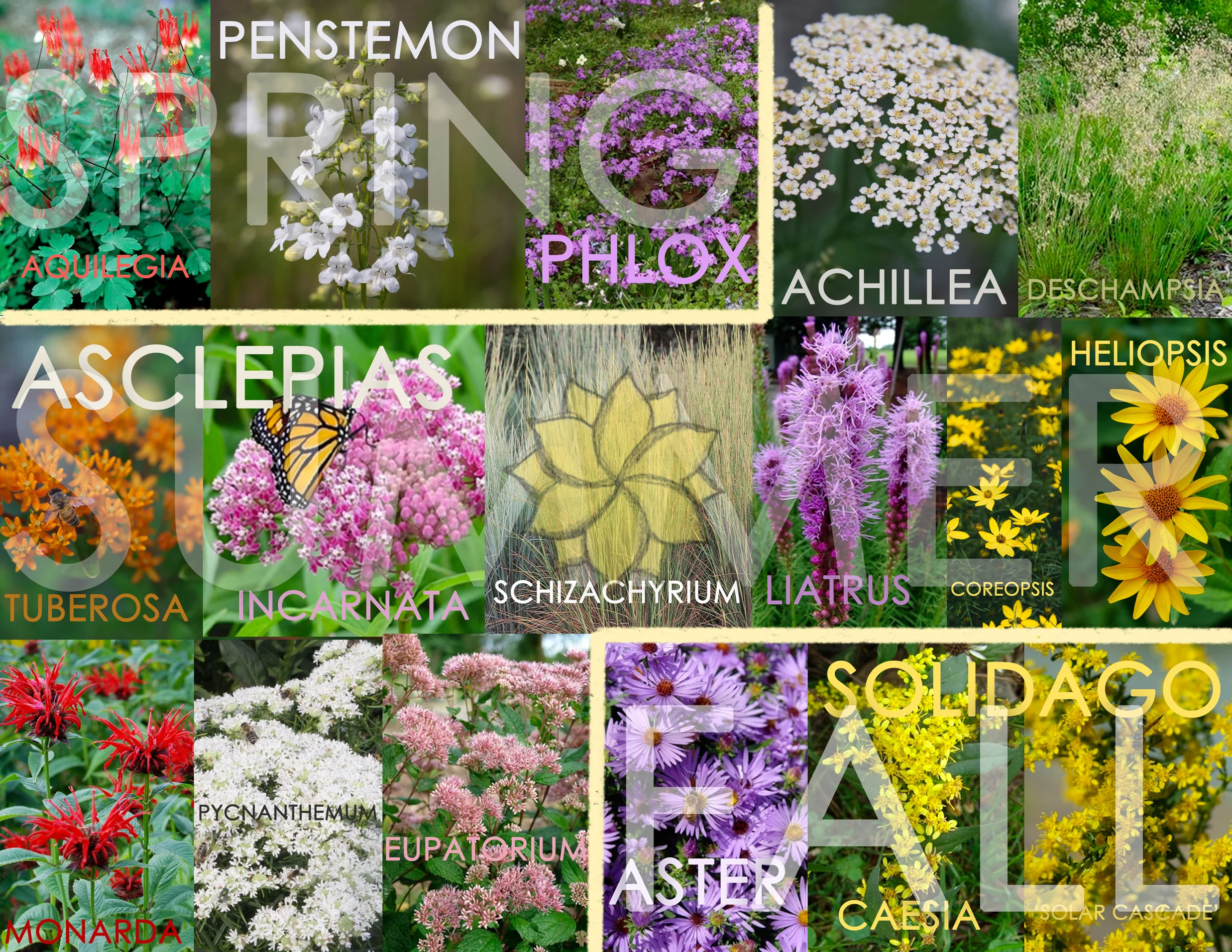 5-Burbank-Wildflower-Collage-GABD-COMPASS-WATERMARK.jpg