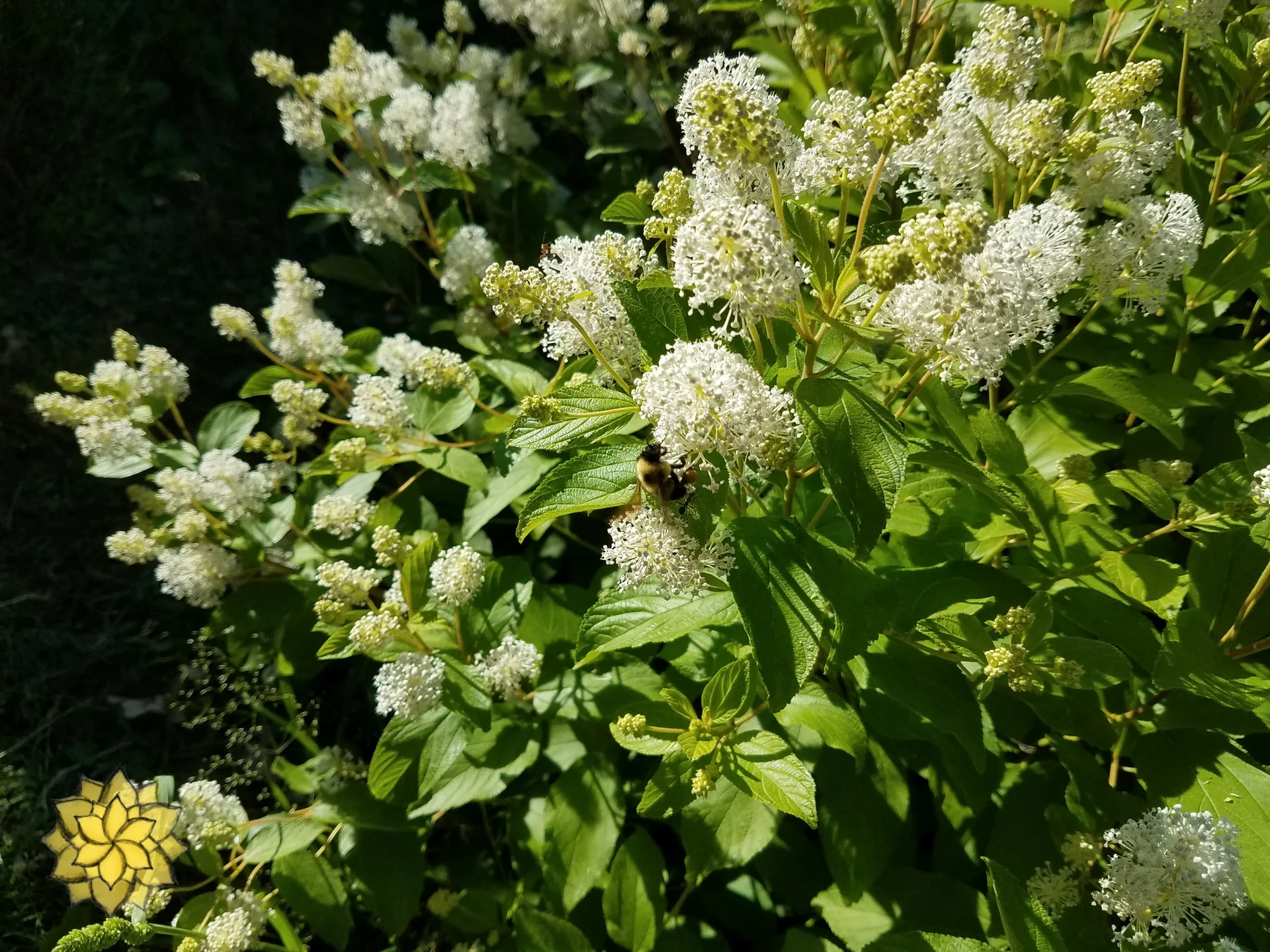 20180626_165408.jpg