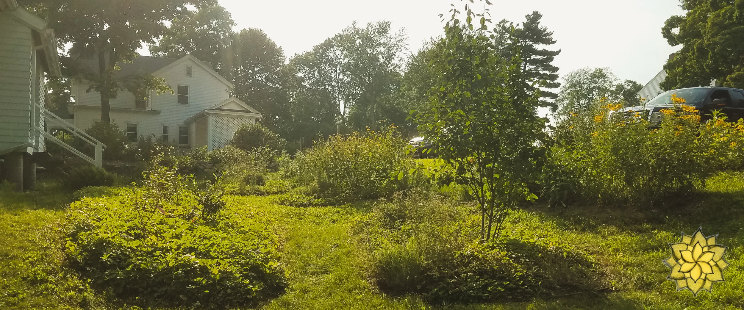 20180807_165133.jpg