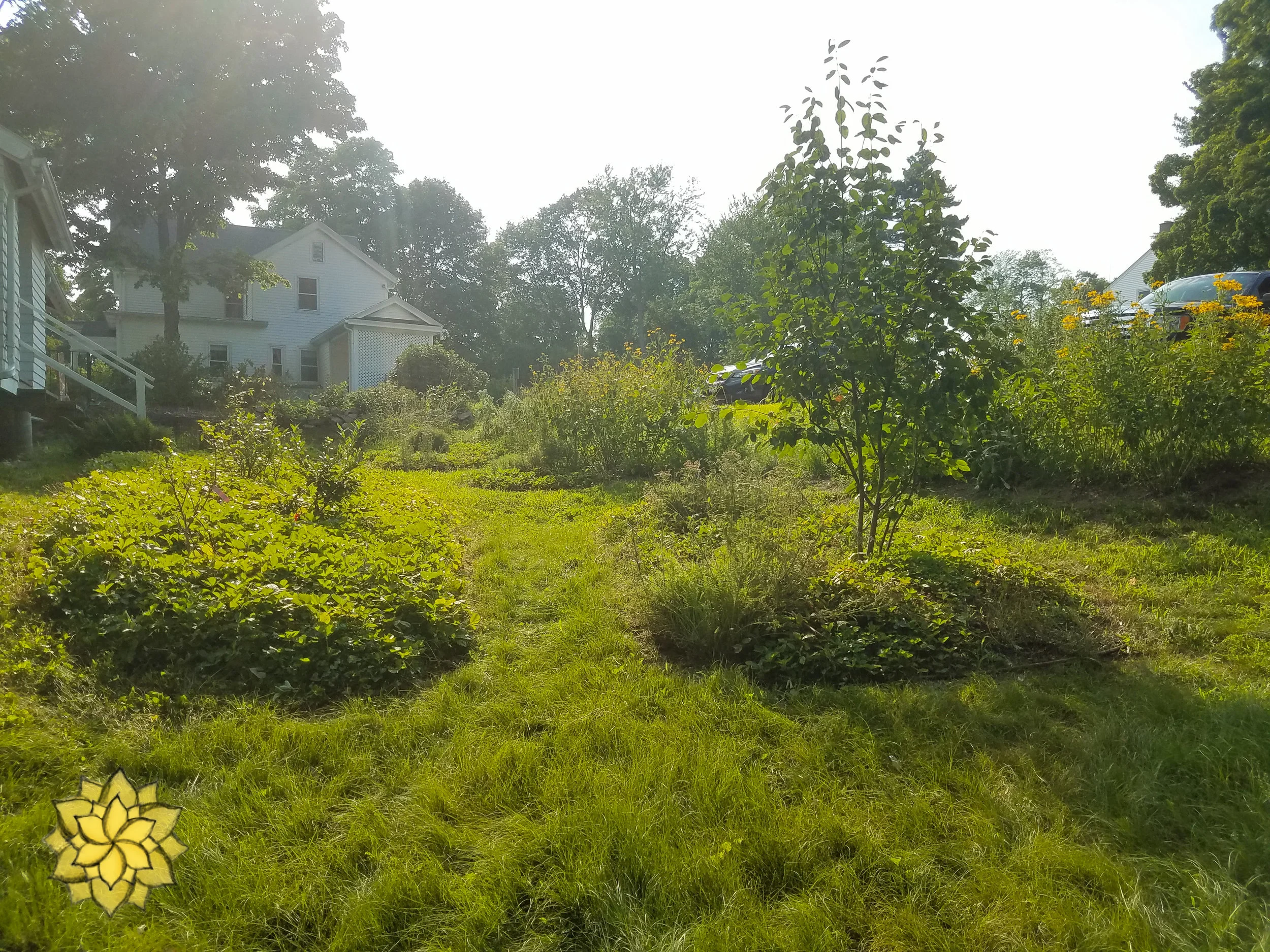 20180807_165124.jpg