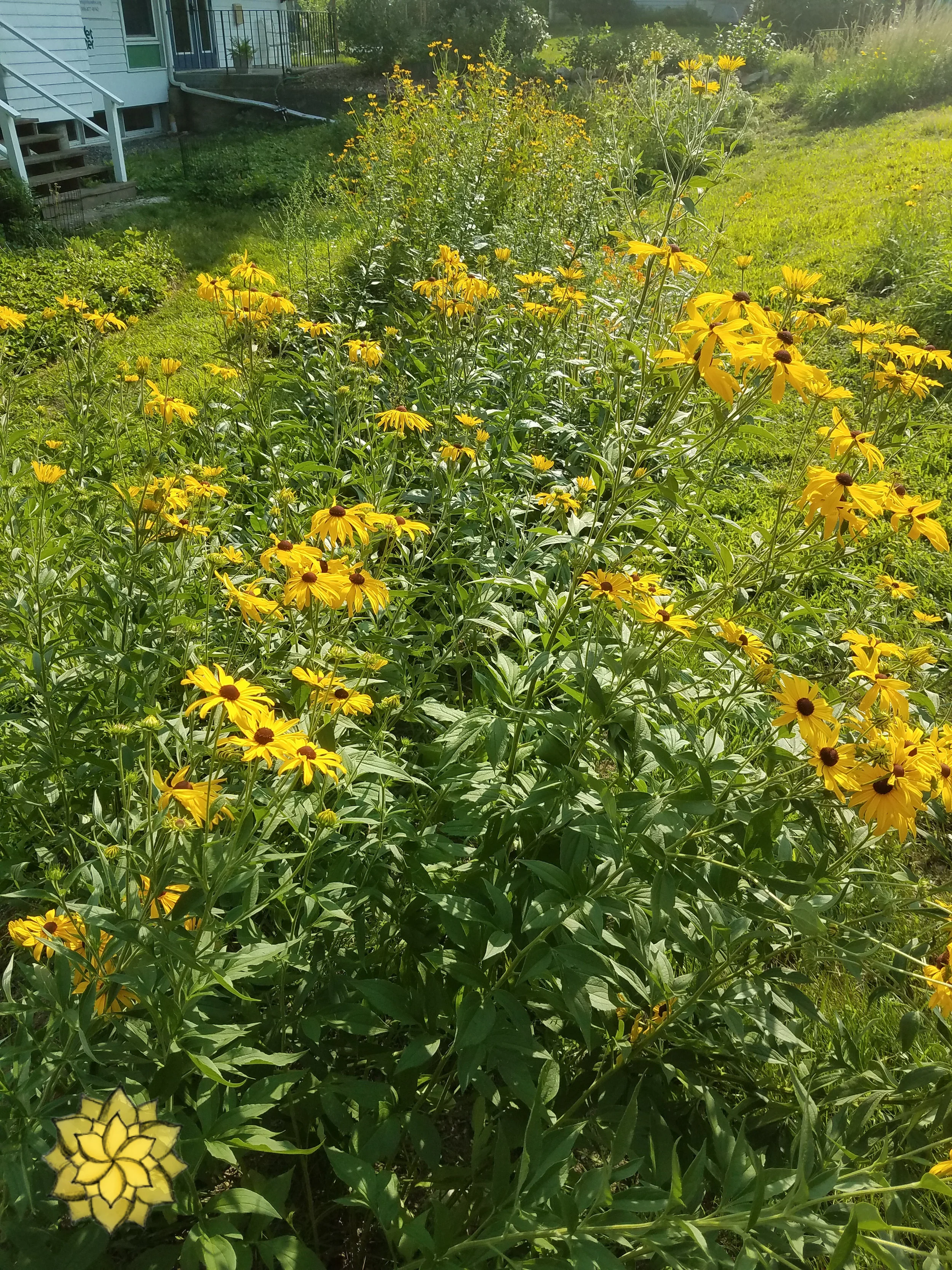20180807_164722.jpg