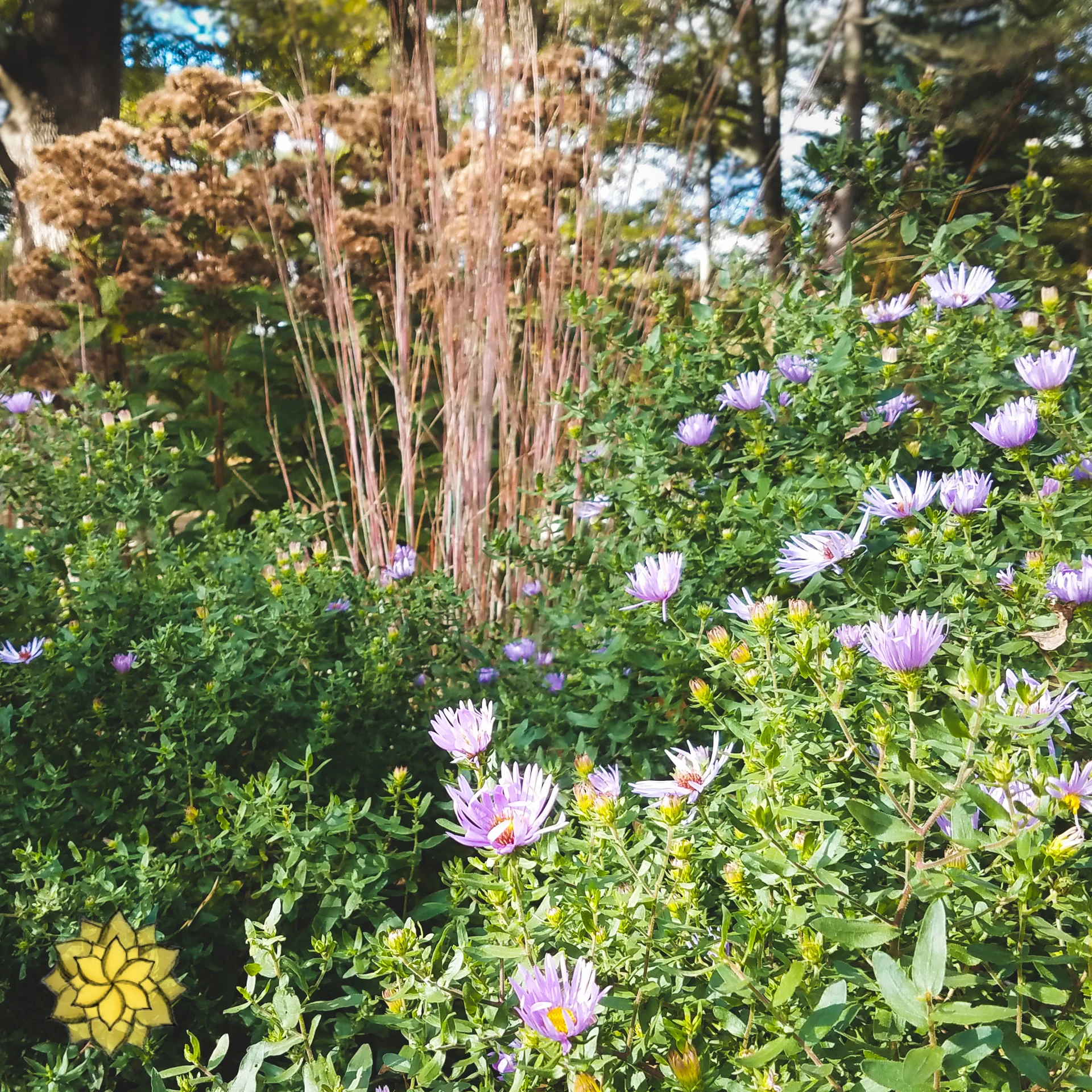 20181025_100218.jpg