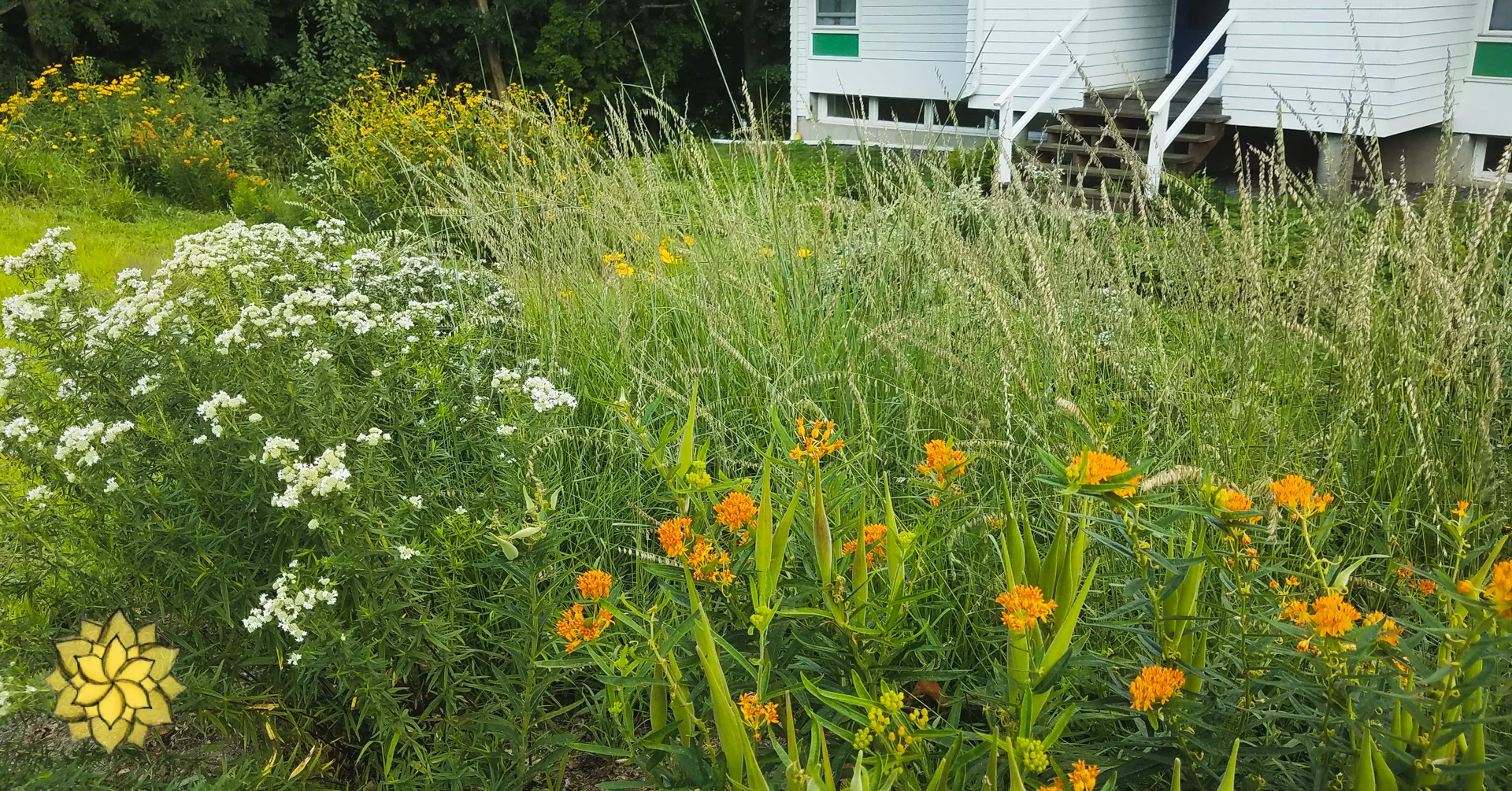20180807_164931-2.jpg