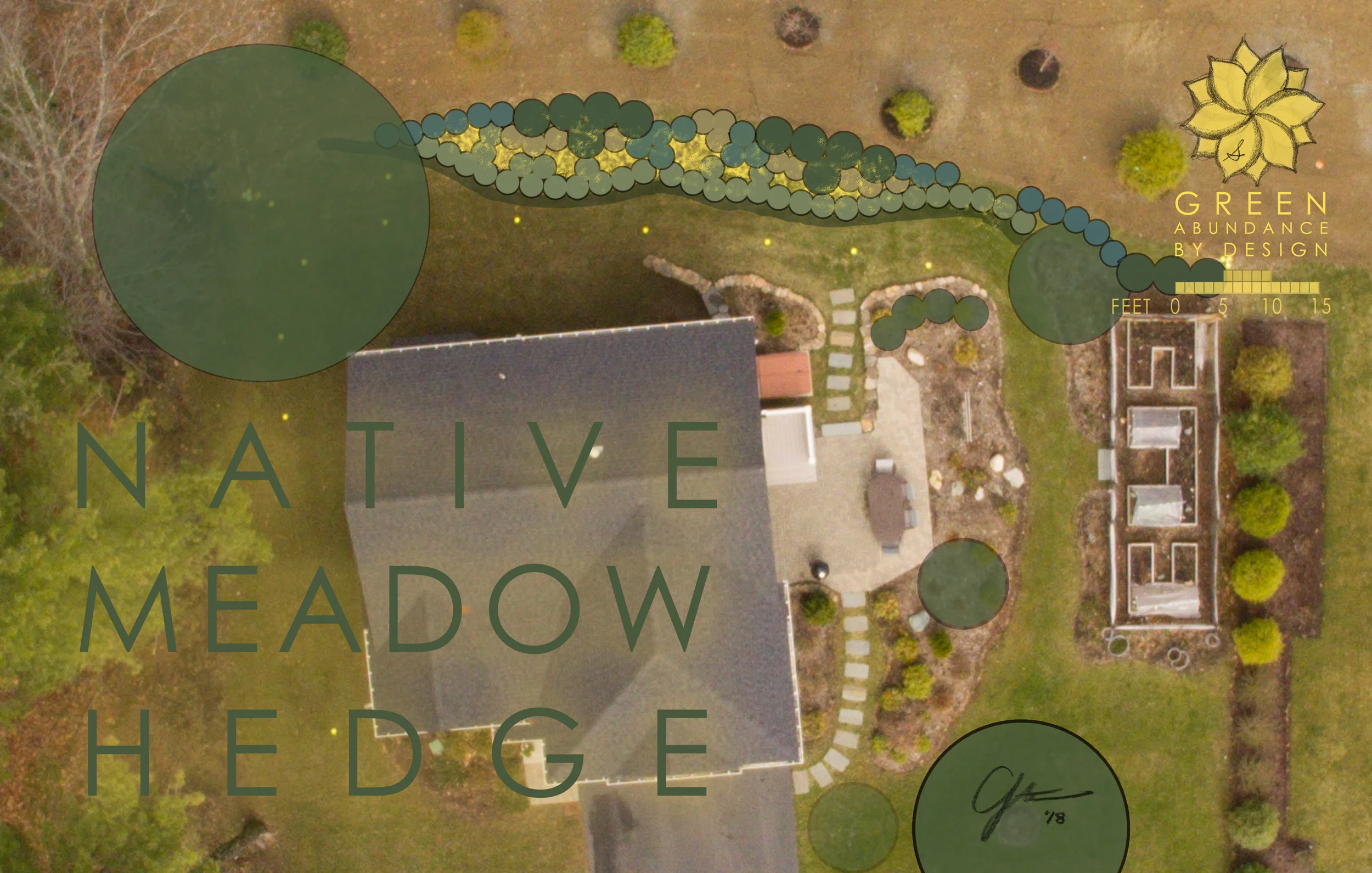 Native Meadow Hedge Design