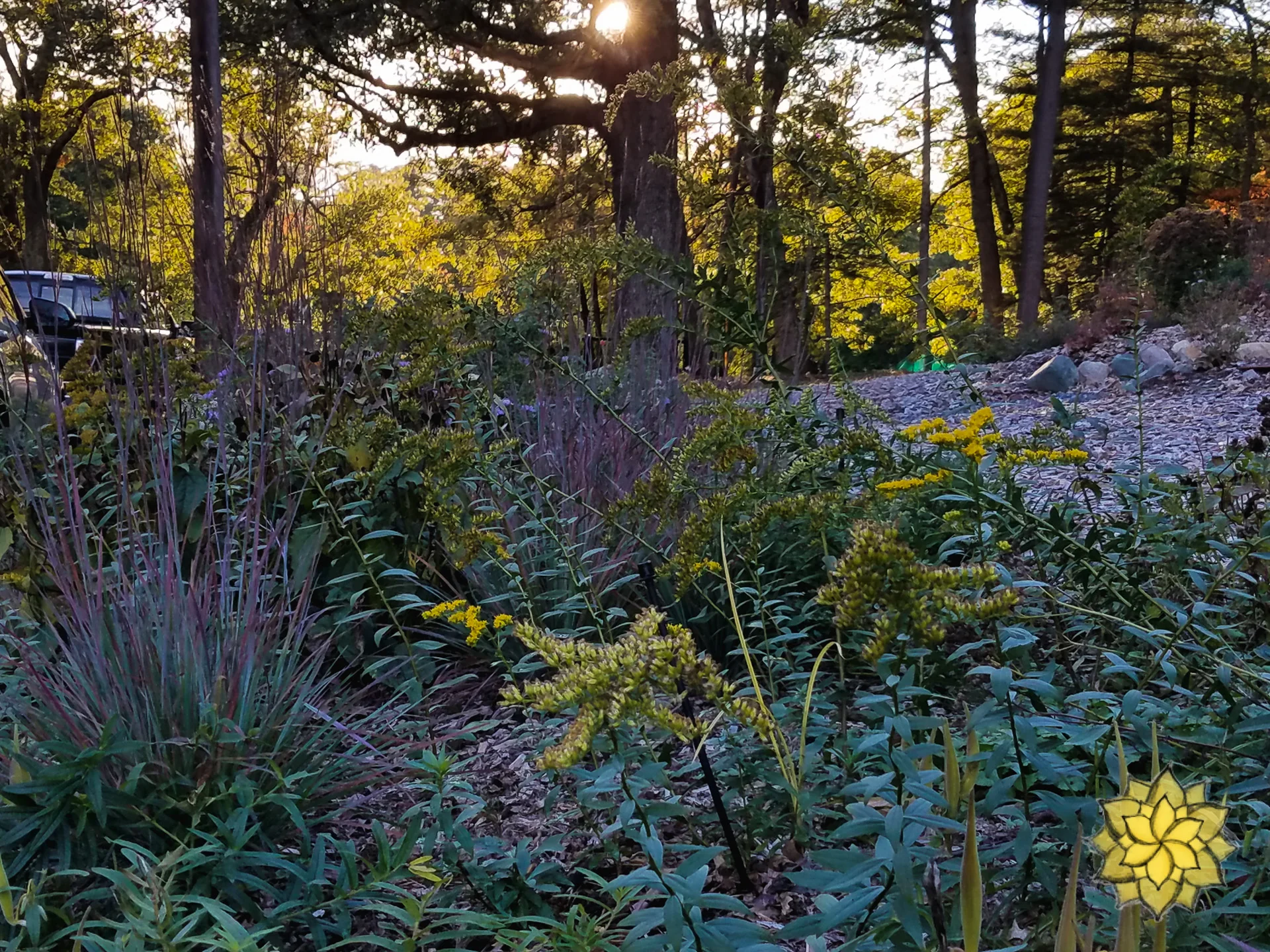 20181019_170206.jpg