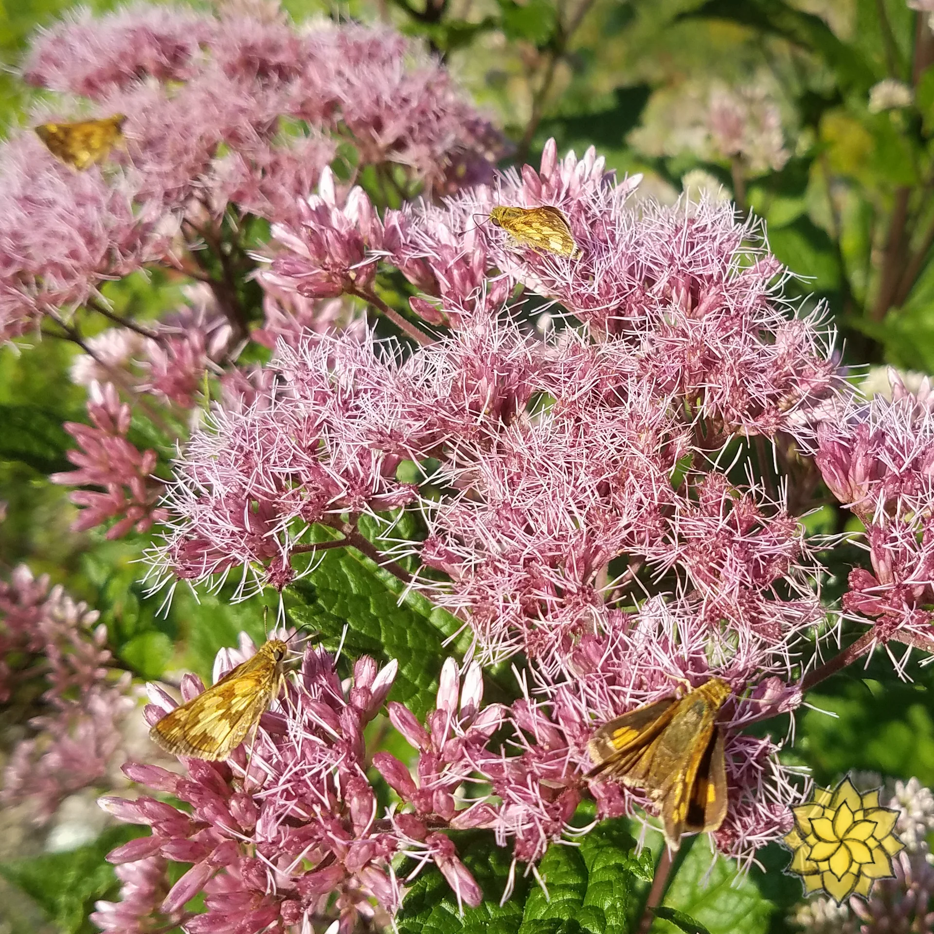 20180807_090437.jpg