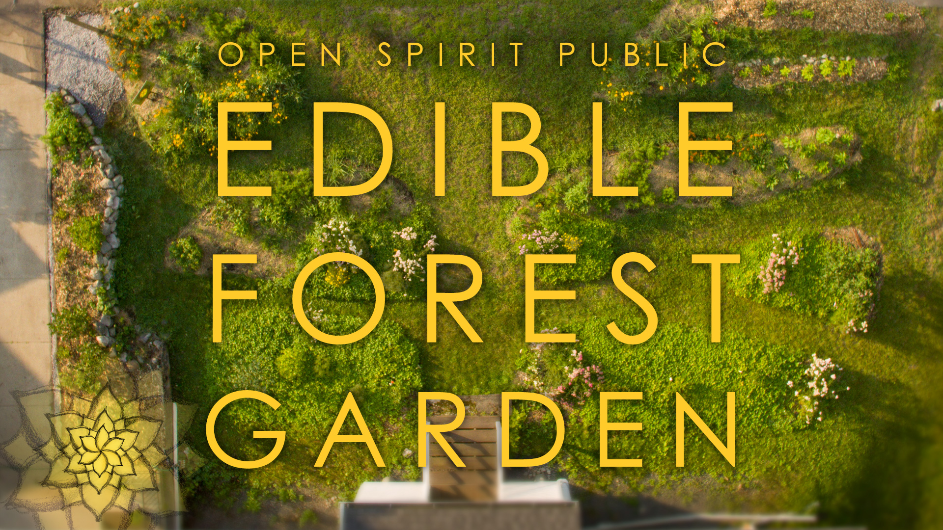 Open Spirit Public Edible Forest Garden