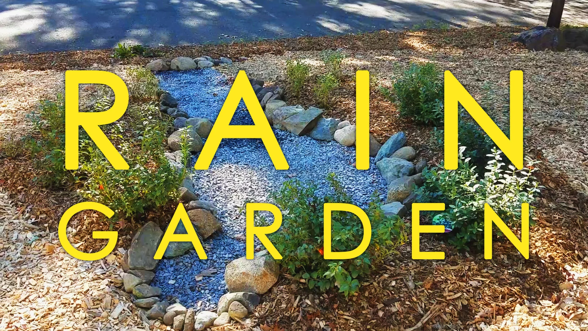 Rain Gardens