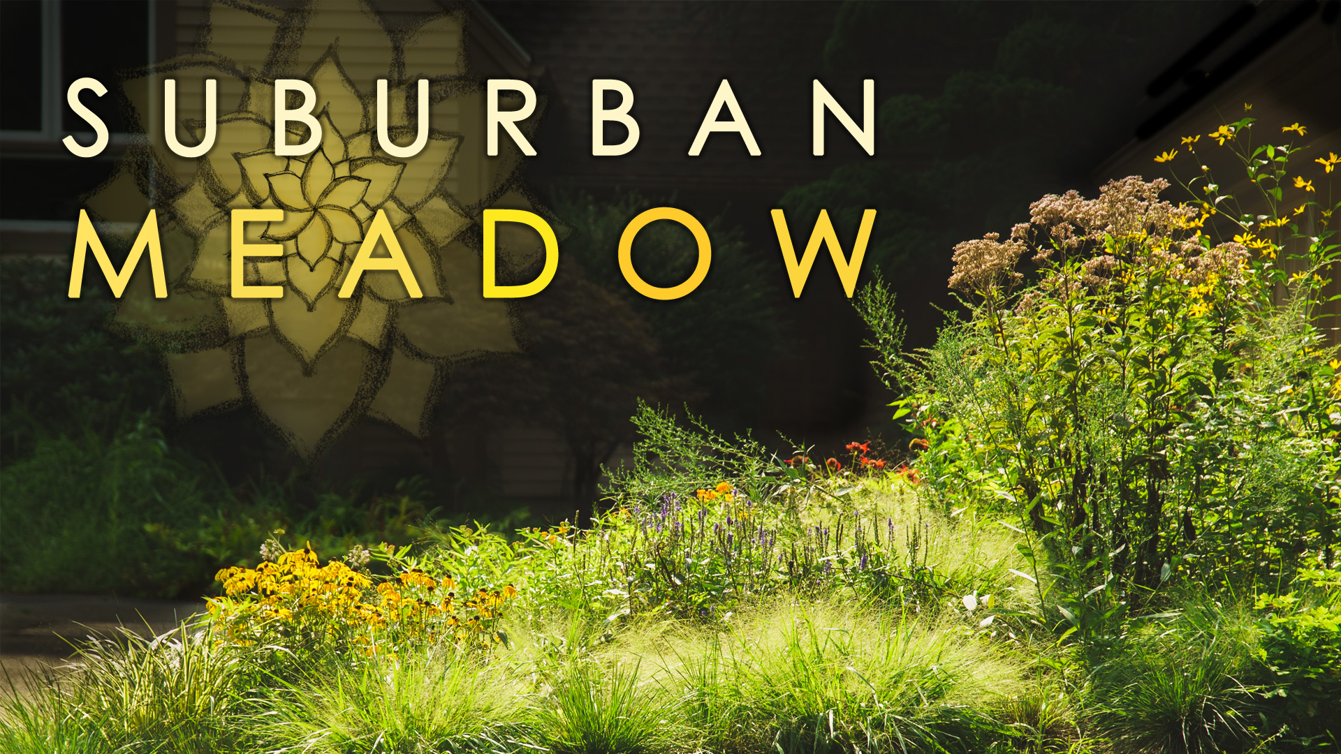 Suburban-Meadows-Graphics.jpg