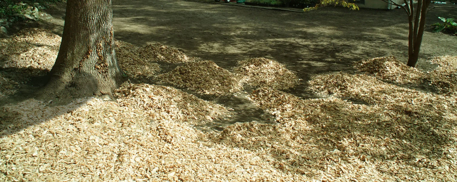 Site-Preperation-BANNER.jpg