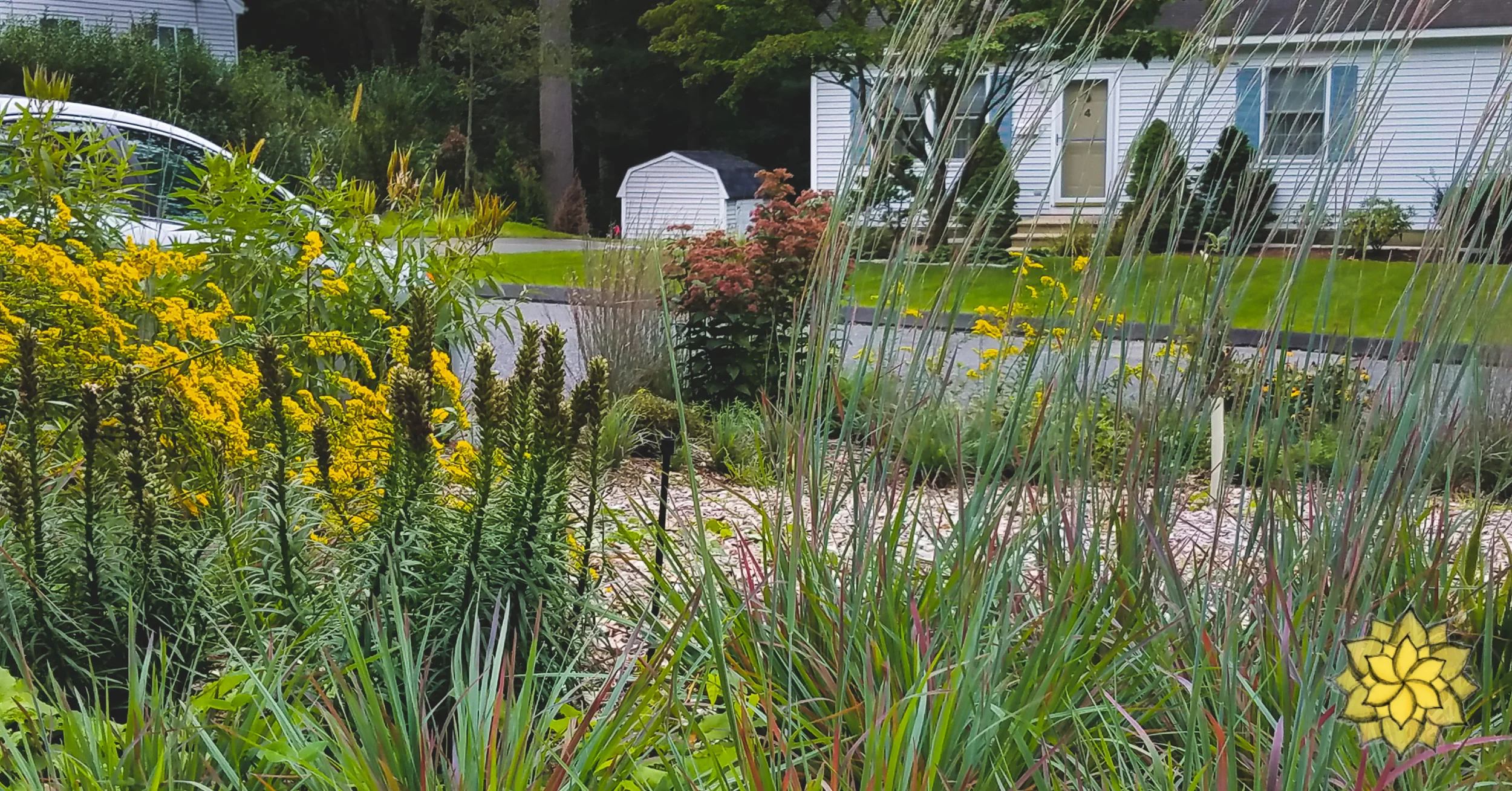 20180924_115323.jpg