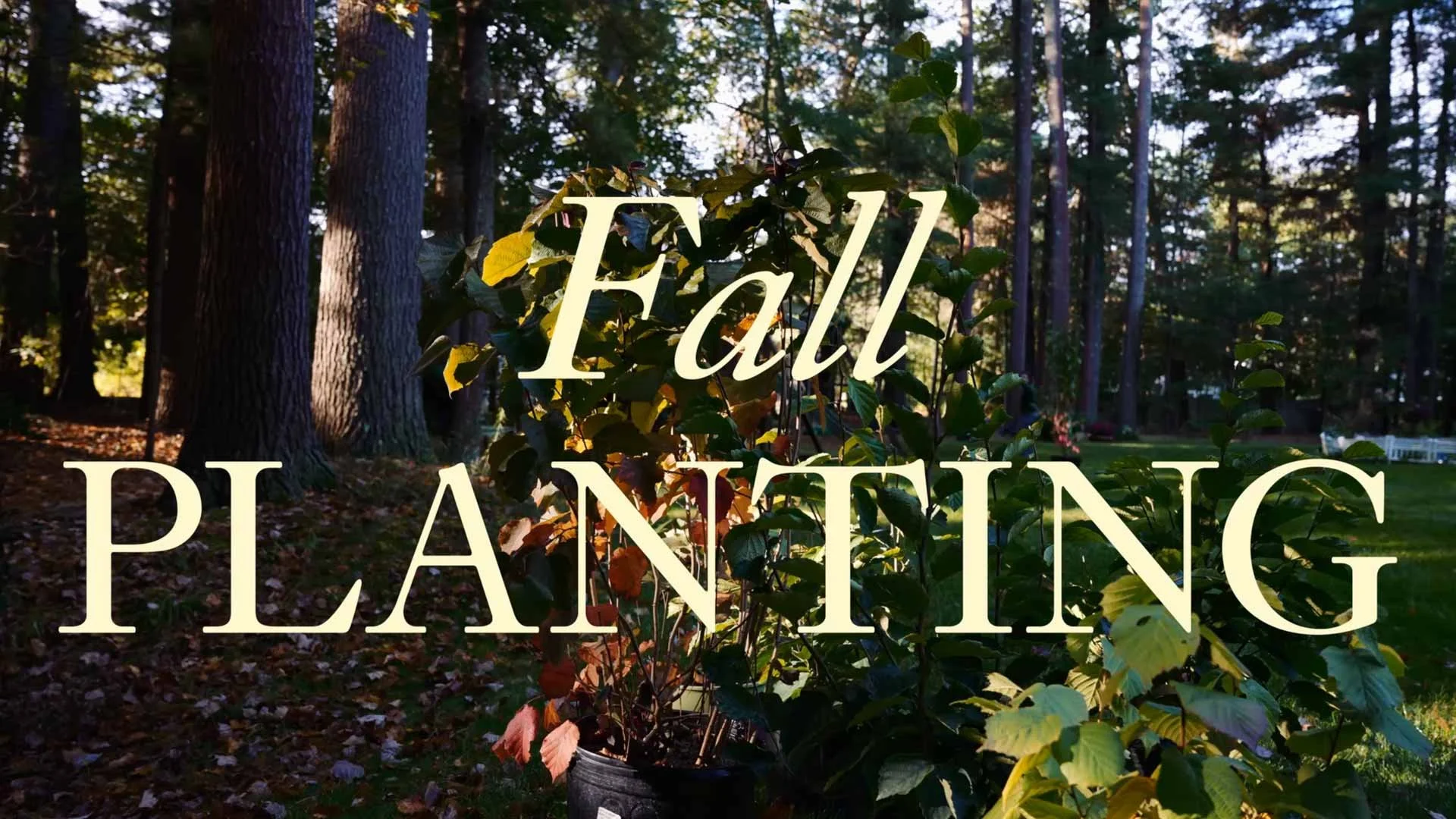 Fall Planting Sudbury