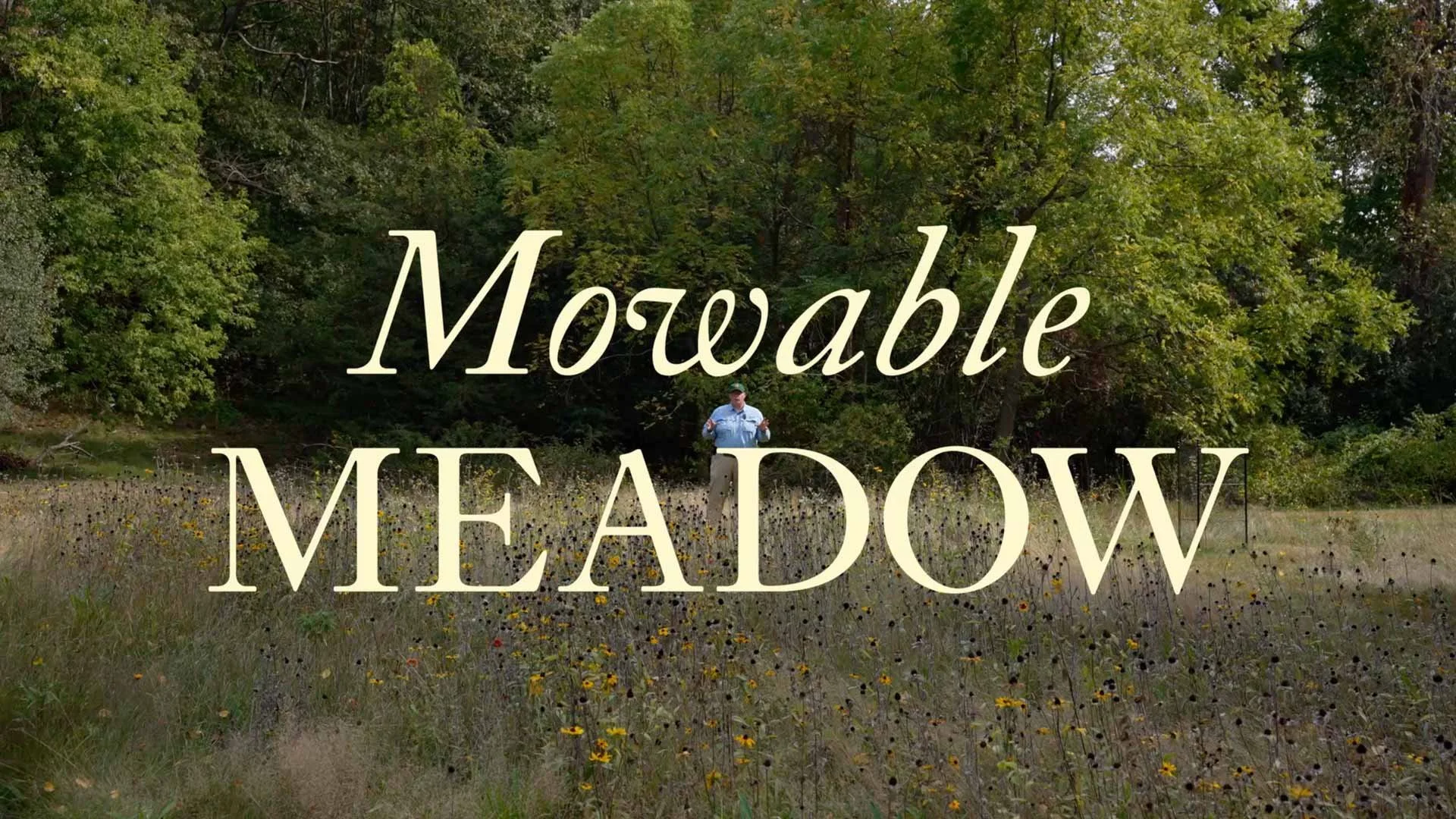 Natick Mowable Meadow Fall 2025