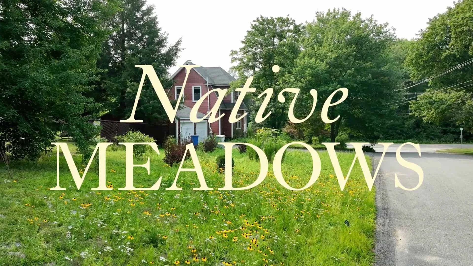 Stow Native Meadow 1st Season Walkthrough