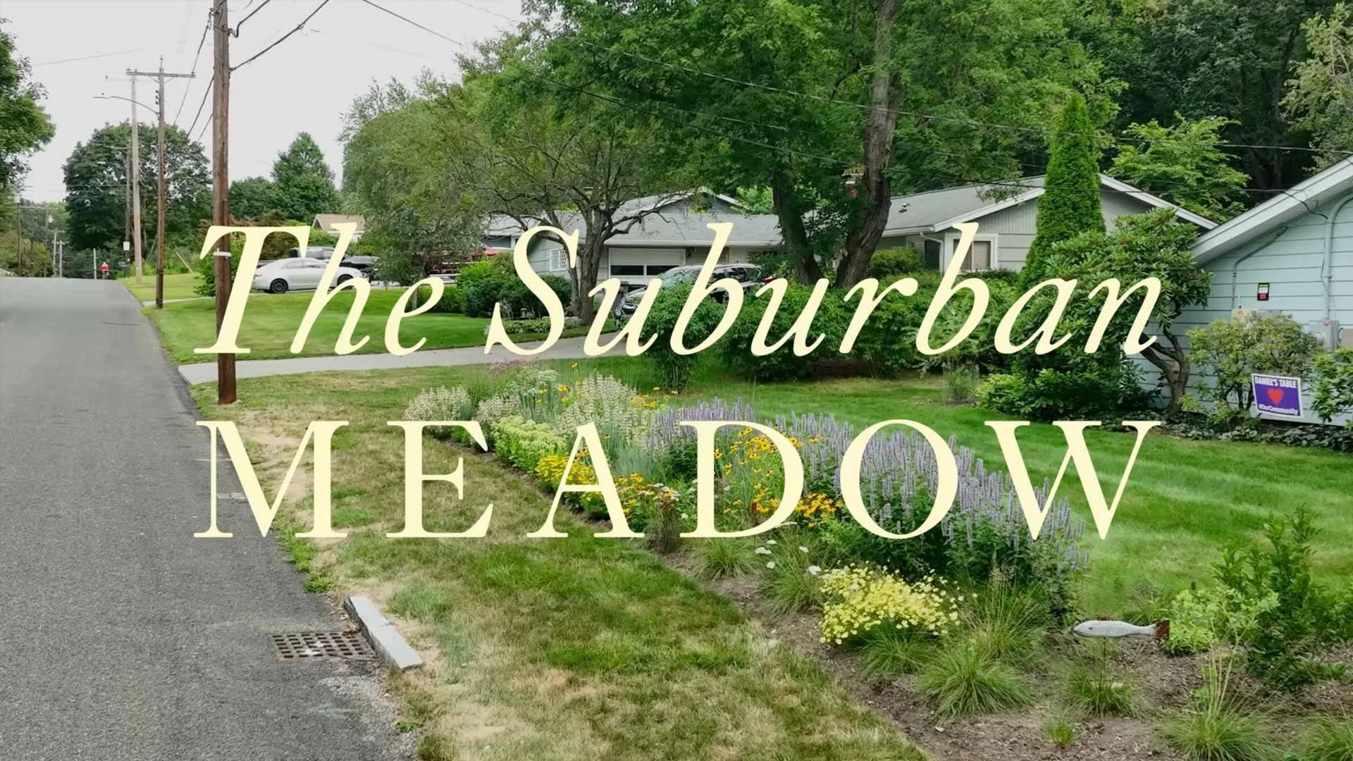 Turning Suburban Meadow 2025
