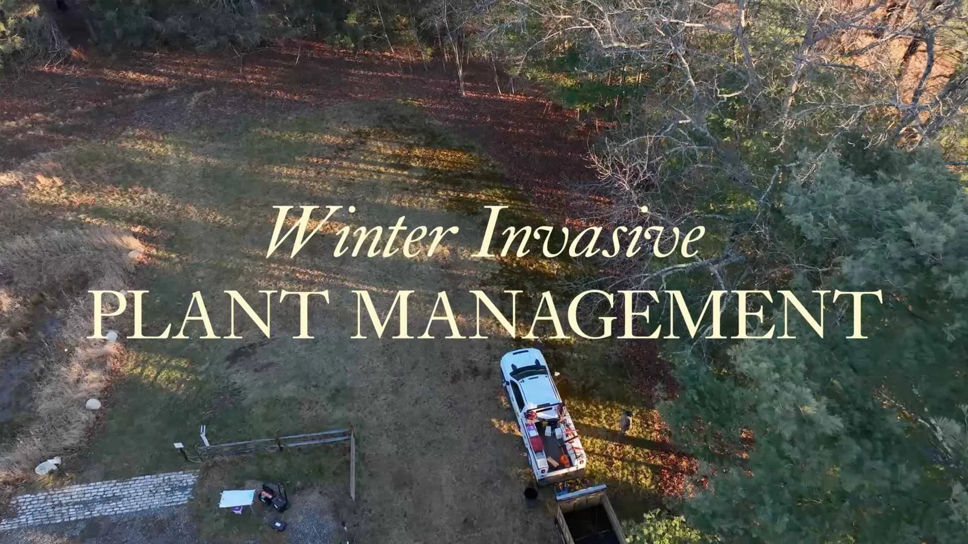 Sudbury Valley Trustees Winter Invasive Work 2024