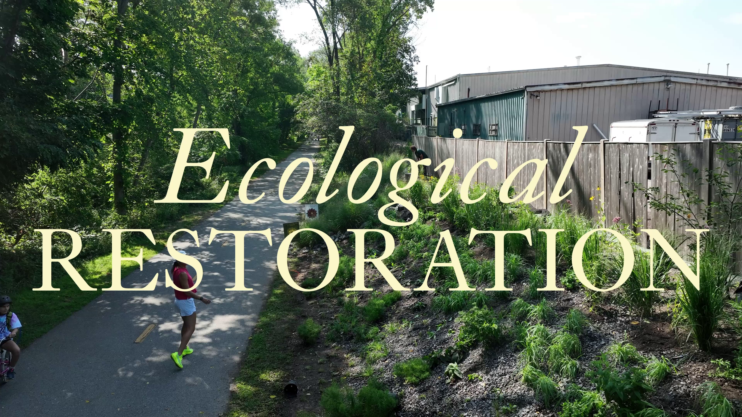 Ecological Restoration 