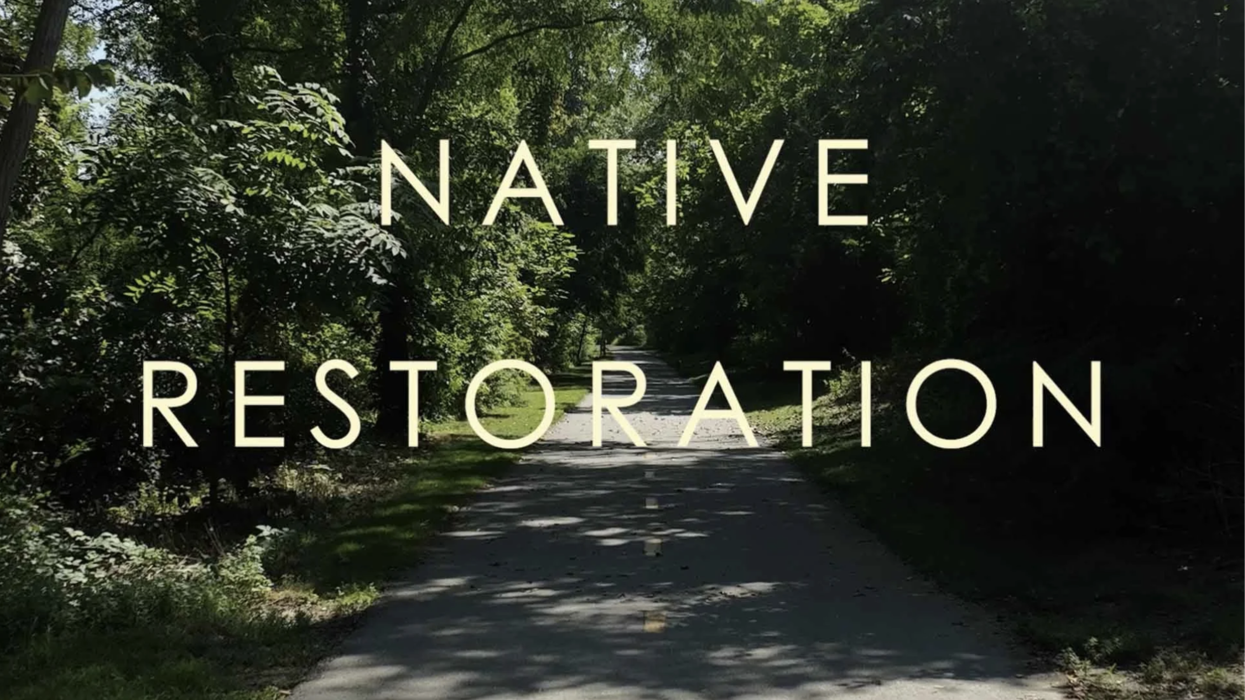 Cochituate Rail Trail Restoration Planting