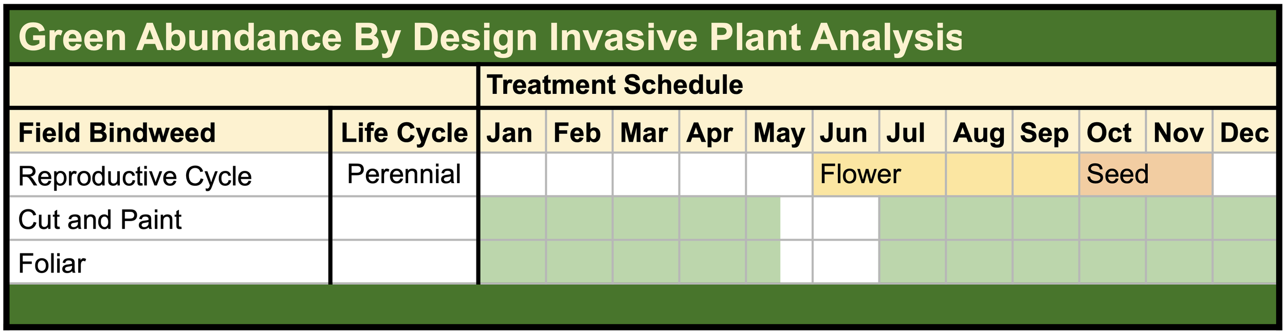 Invasive Field Bindweed Treatment Calendar Green Abundance By Design