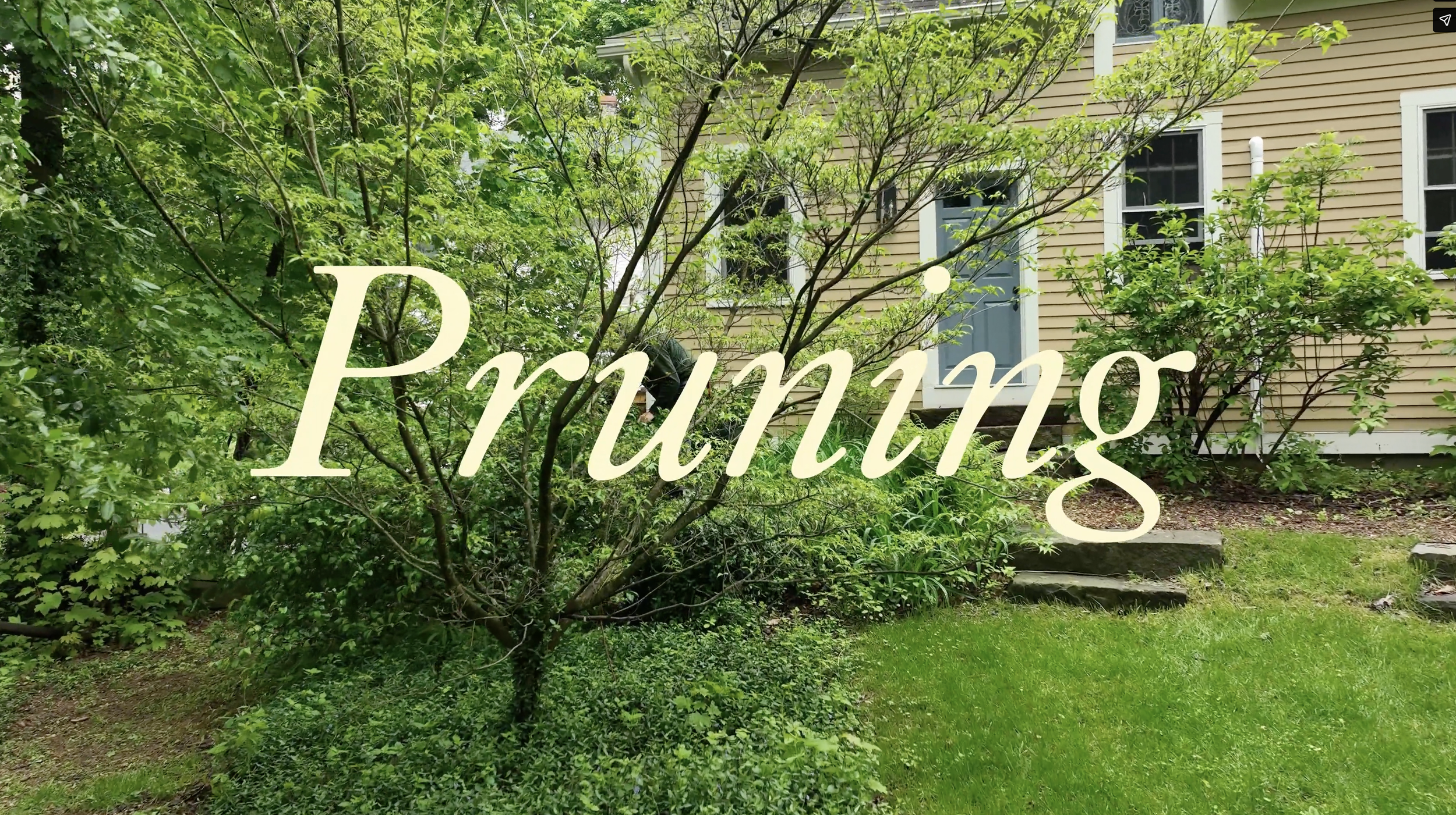 Spring Pruning Guide: What to Cut Now, What to Wait On, and Why It Matters