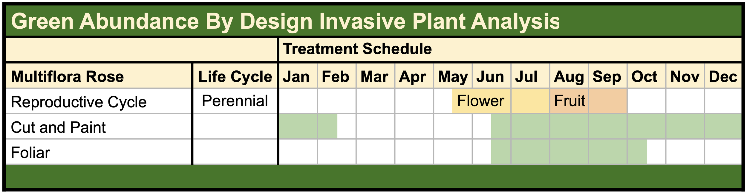 Invasive Multiflora Rose Treatment Calendar Green Abundance By Design.png