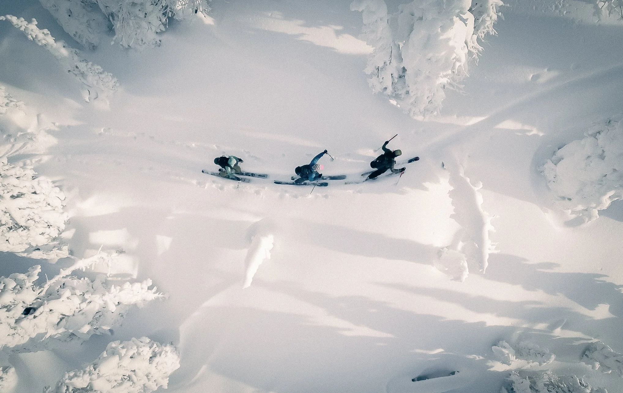 Three skiers skiing down a snow-covered slope surrounded by snow-laden trees.