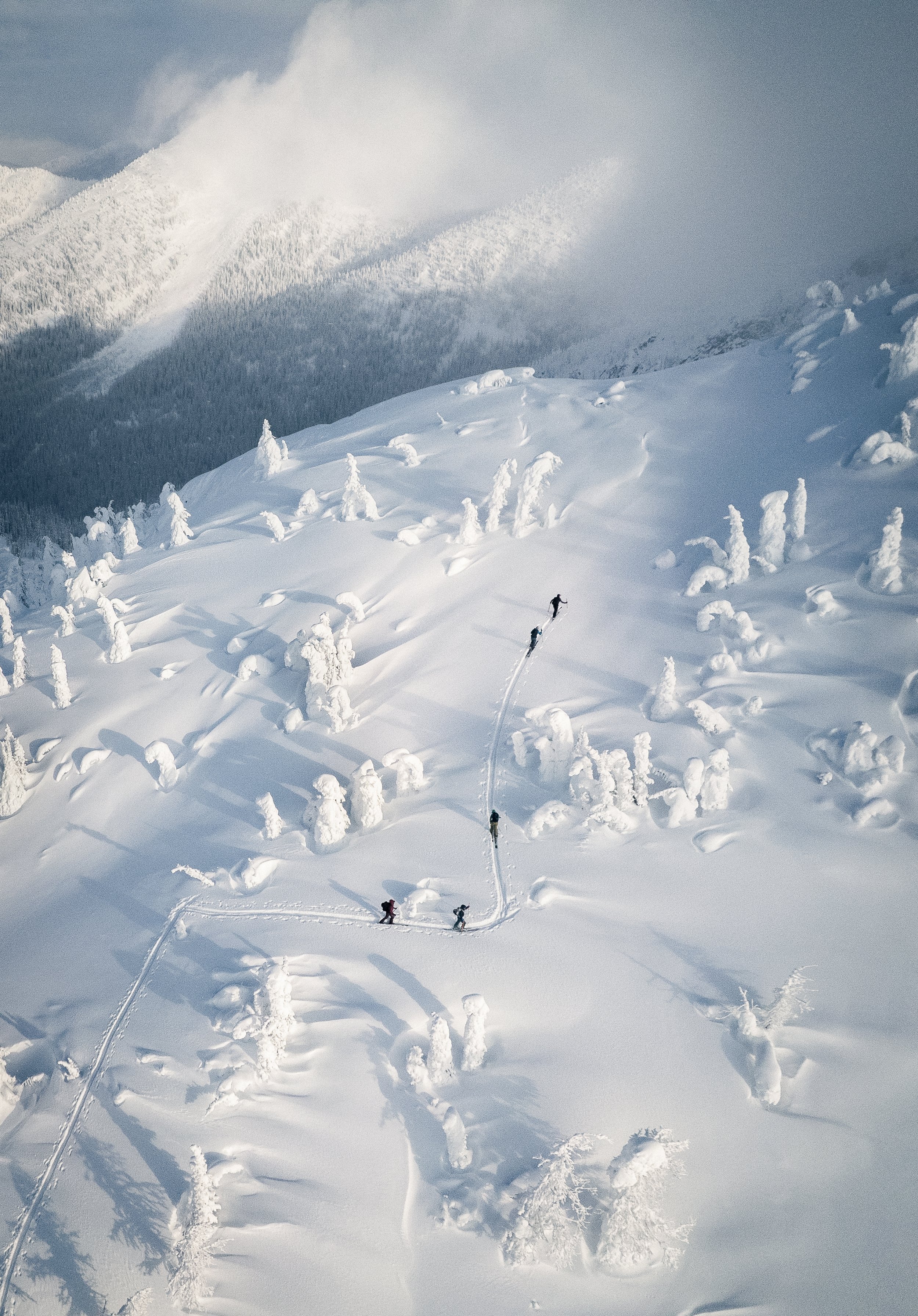 A snowy mountain landscape with a group of people skiing or snowboarding, surrounded by snow-covered trees and misty mountain peaks in the background.
