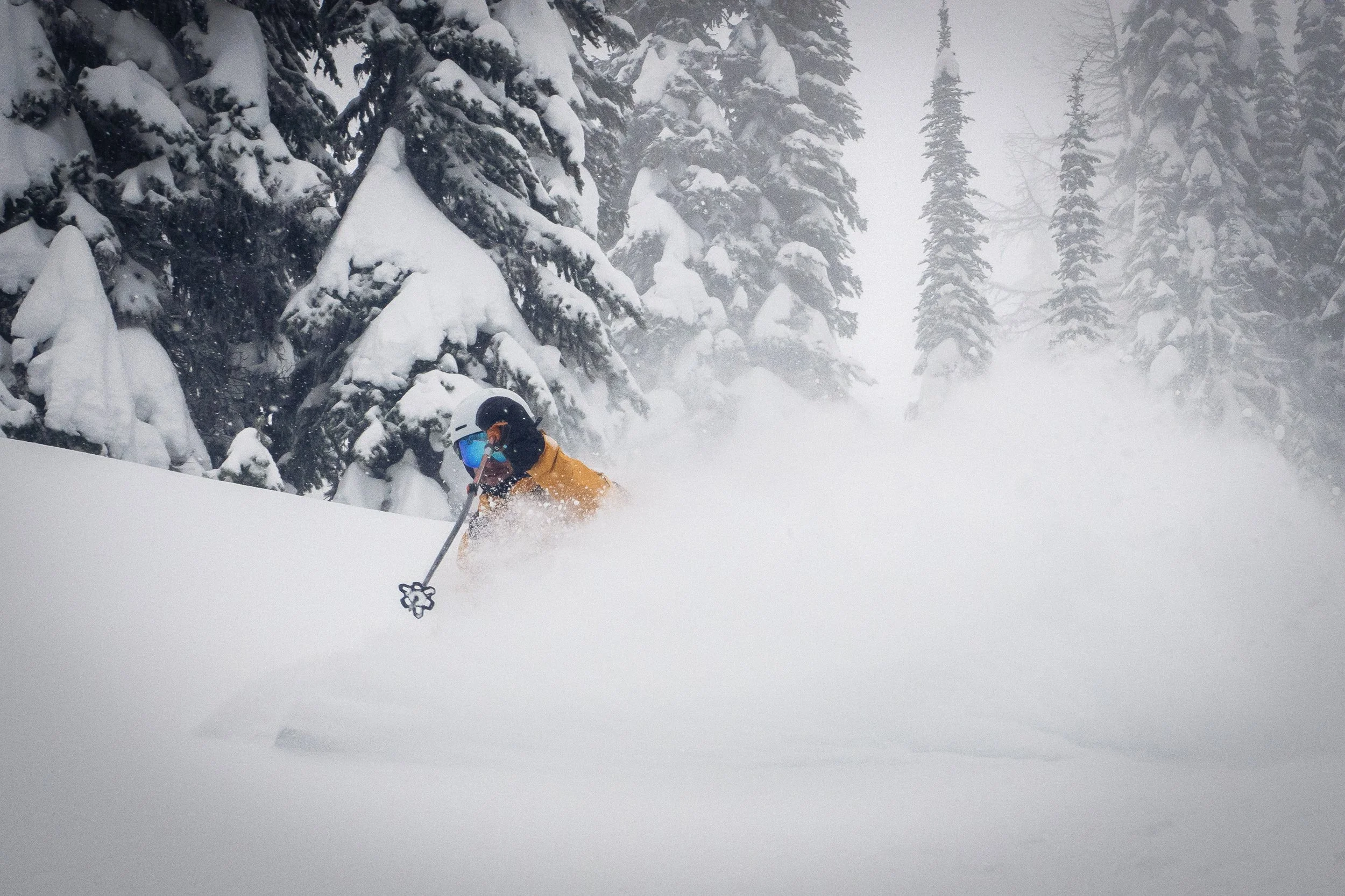 Photo Feb 26 2023, 2 25 18 PM (1)-2.jpg