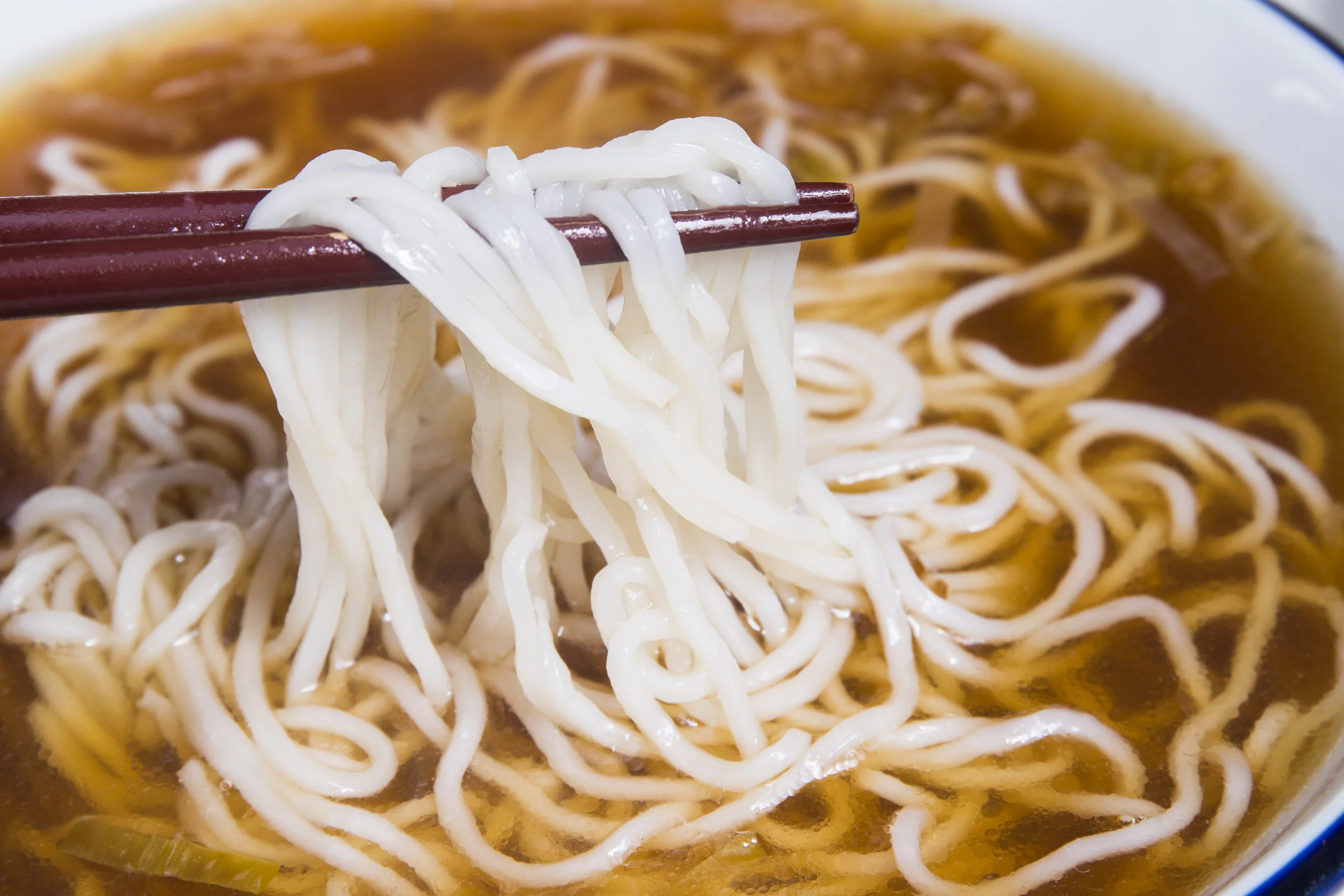 Japanese Style Ramen