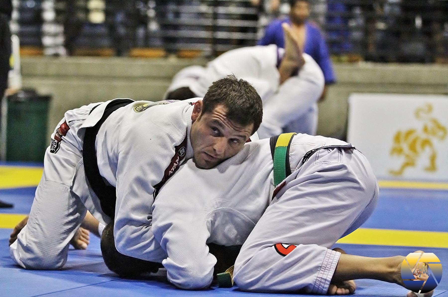 BRUNO ANTUNES