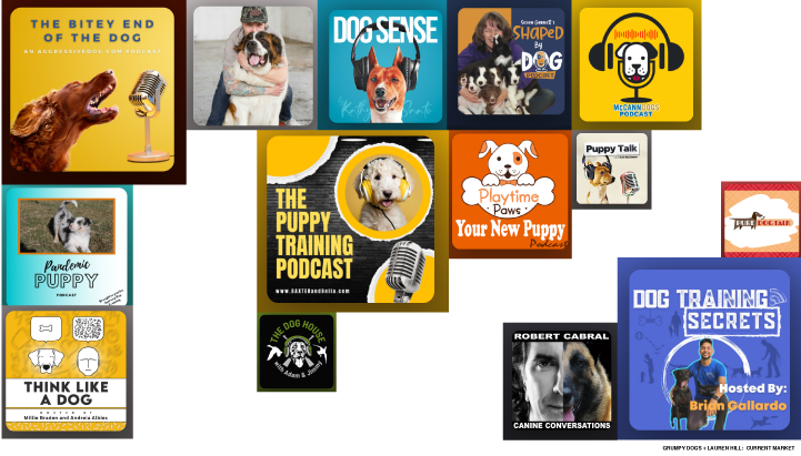 competitive analysis 