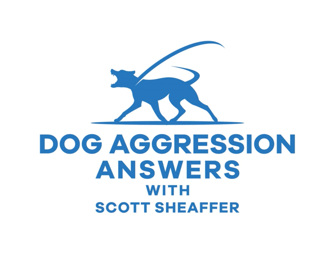 client's previous branding