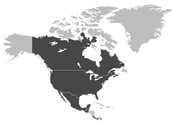 NORTH AMERICA