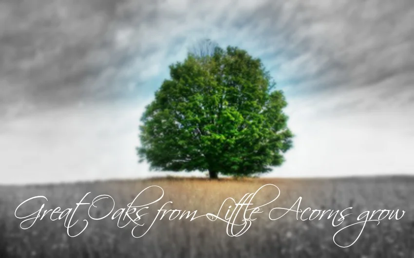 kelly - small beginnings 3.jpg