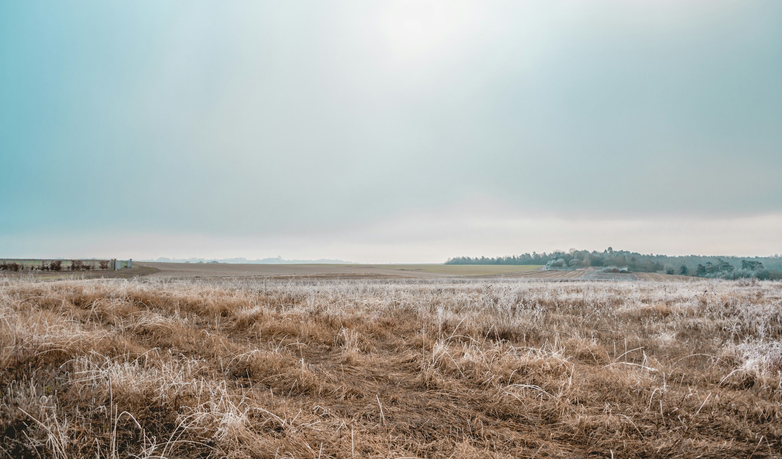 The Widow from Zarephath: God Honors a Generous Heart