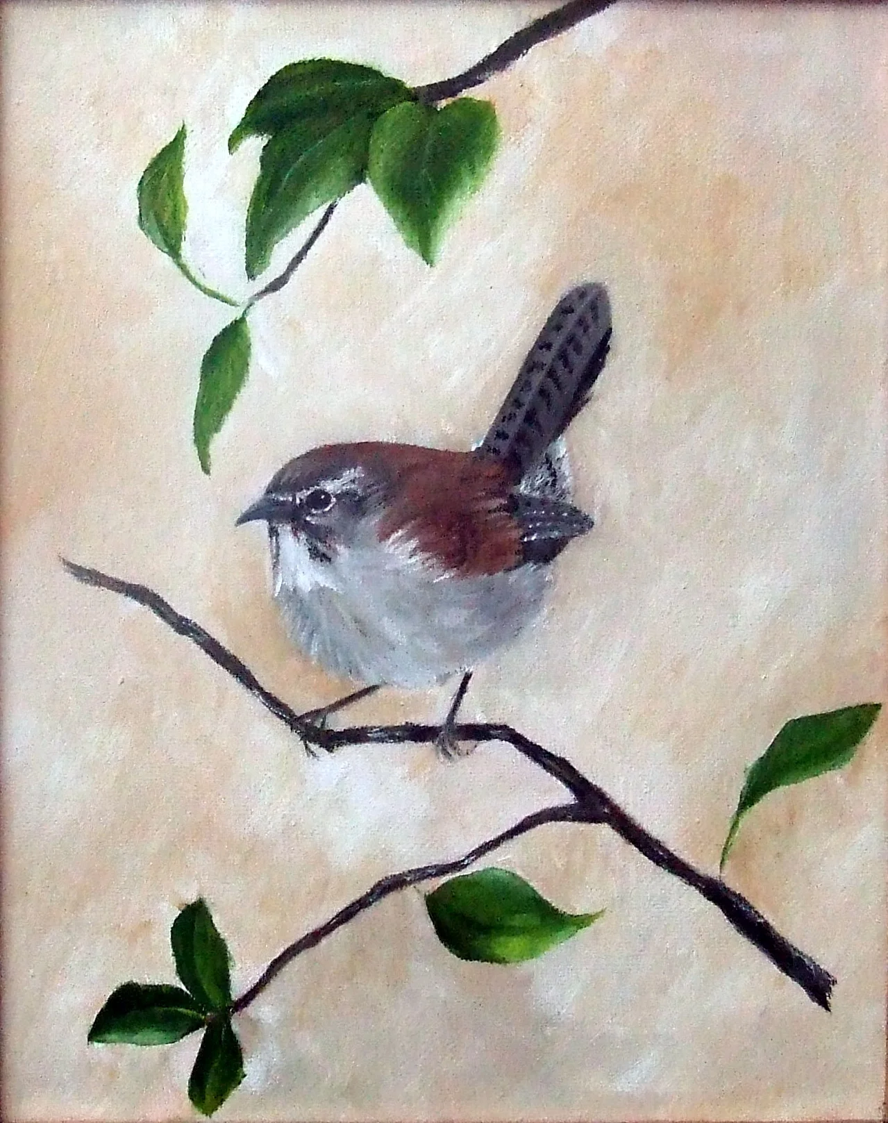 The Little Wren