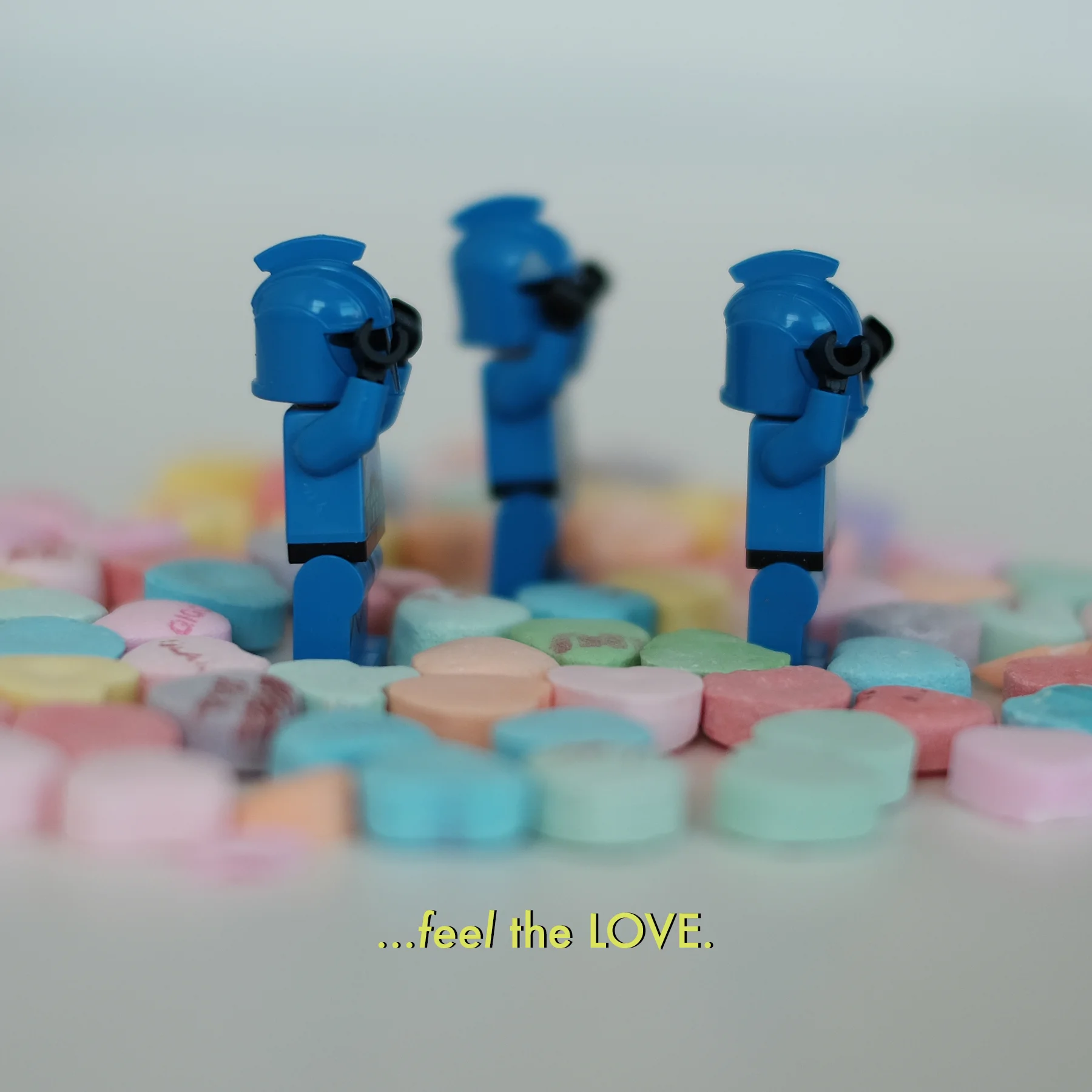 FEEL THE LOVE.jpg