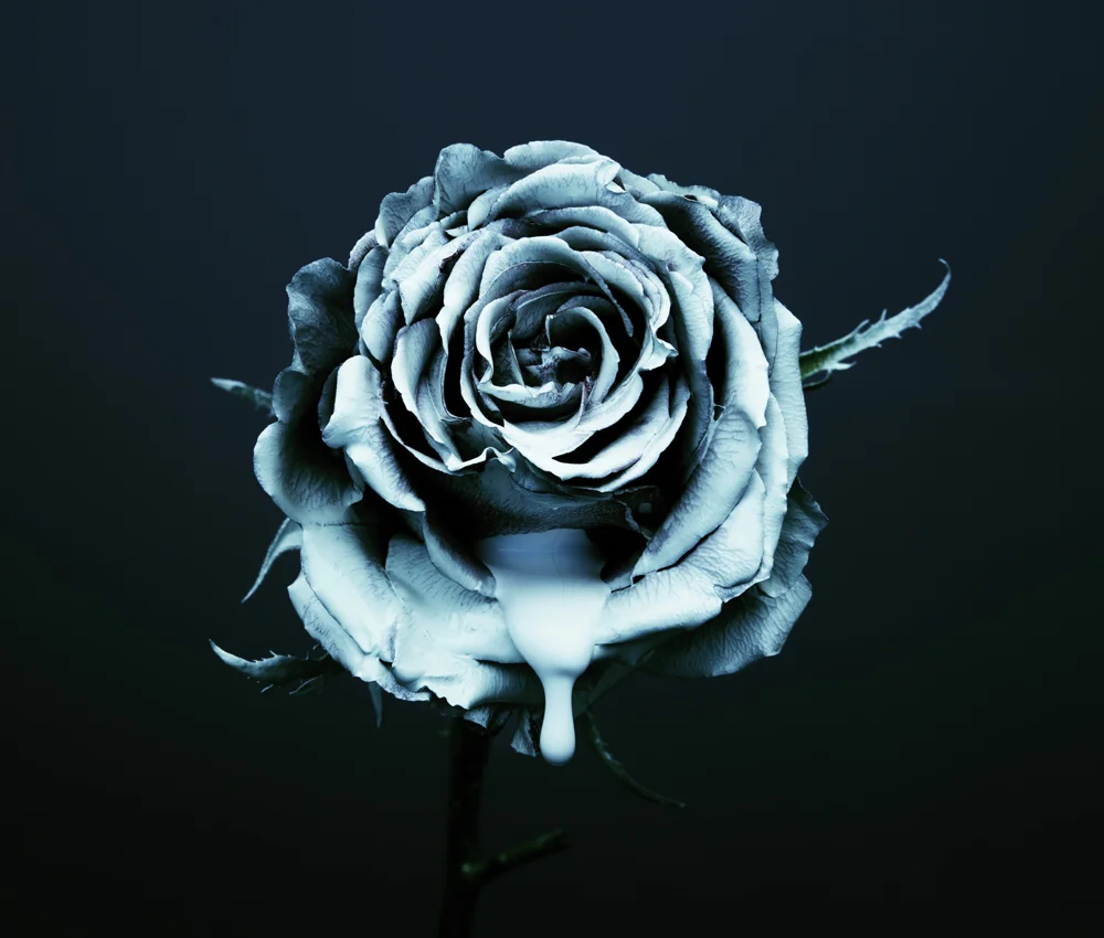 0001_121104_FLOWER 2974 1.jpg