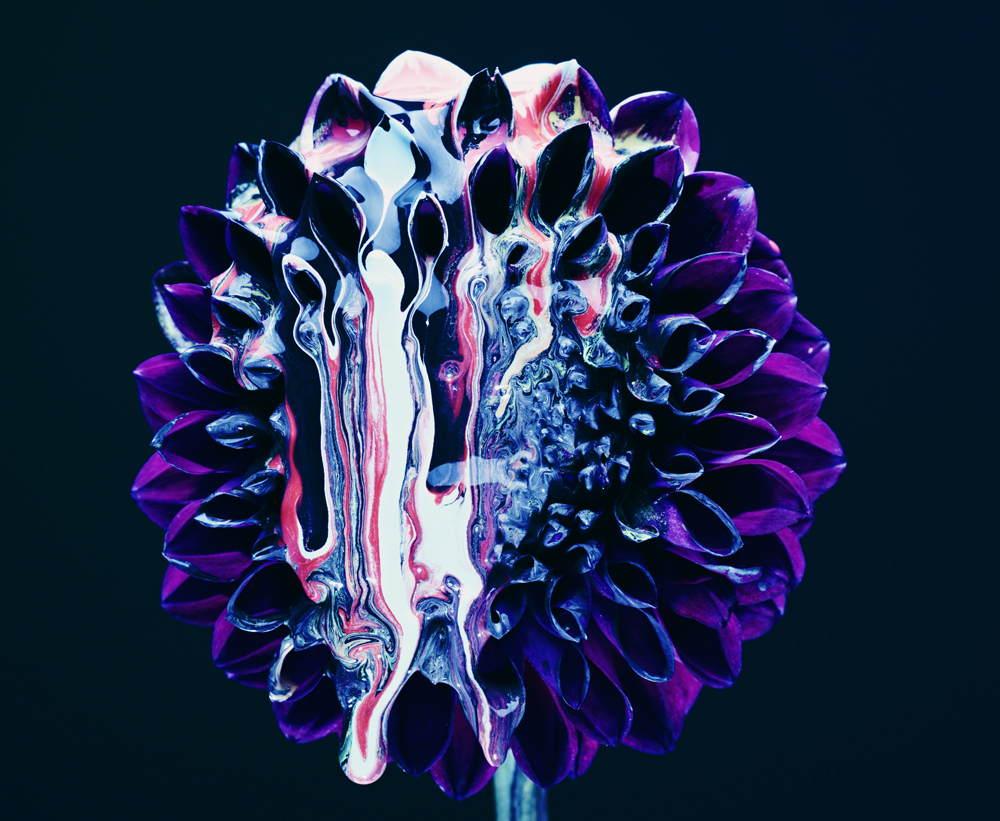 0002_130125_FLOWER 123127 FLAT.jpg