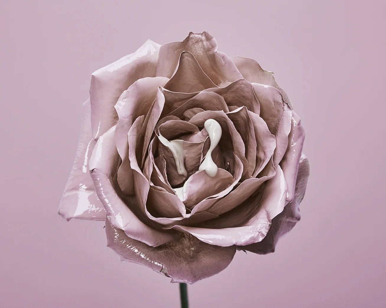 160609_FLowers4864.jpg