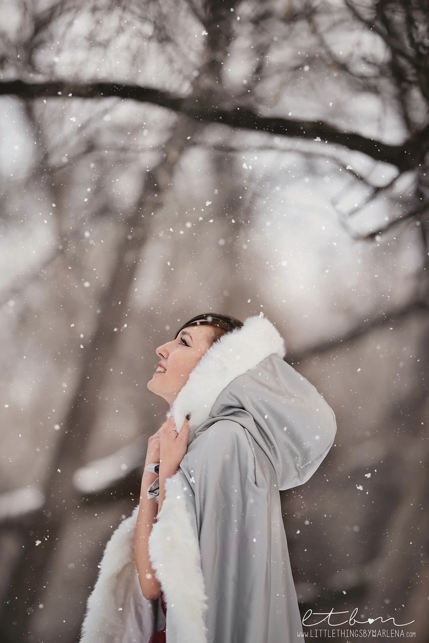 016 snow copy.jpg