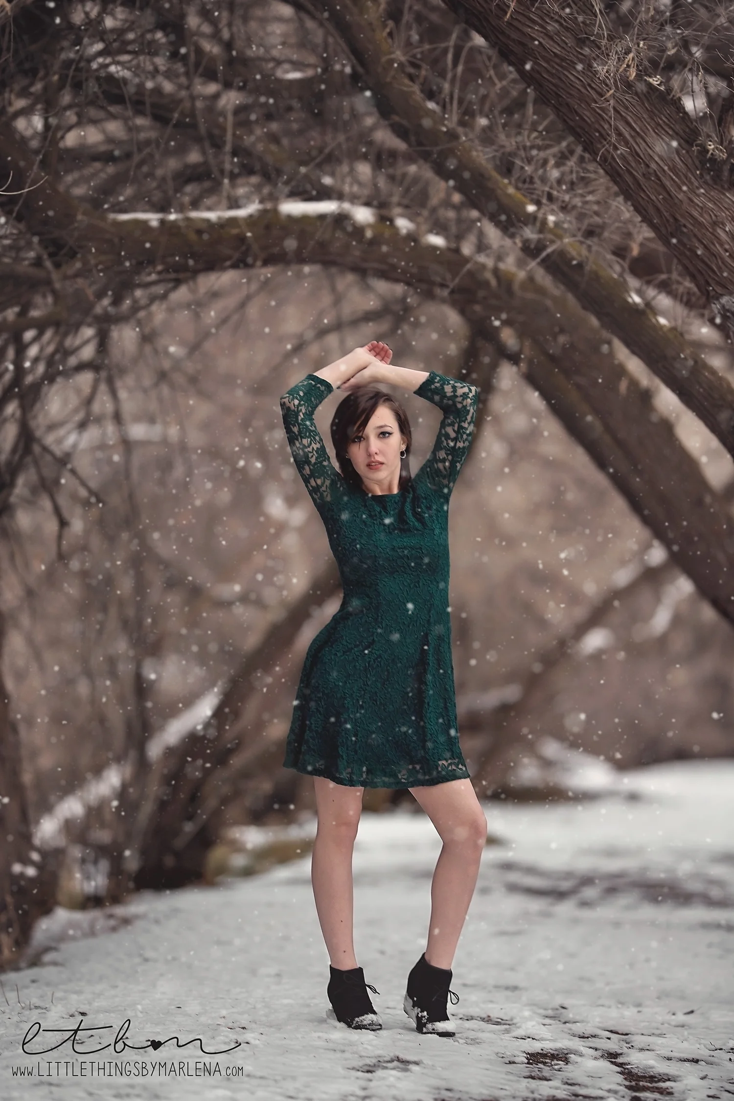 021 snow copy.jpg