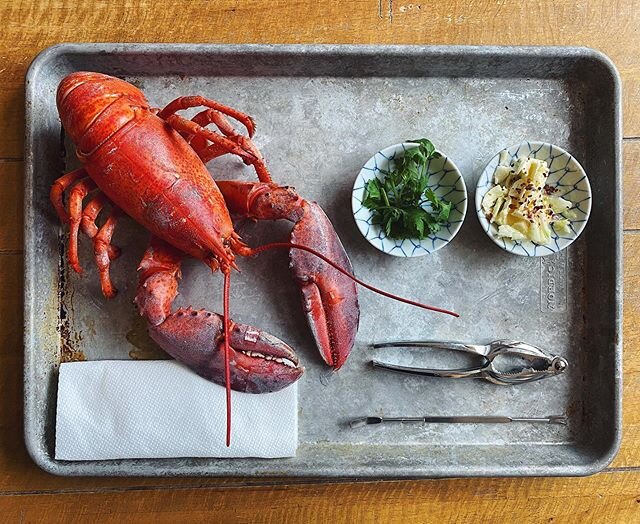 Jared knows how to cheer a girl up, WITH A BOILED WHOLE LOBSTER FOR BREAKFAST 🥰
