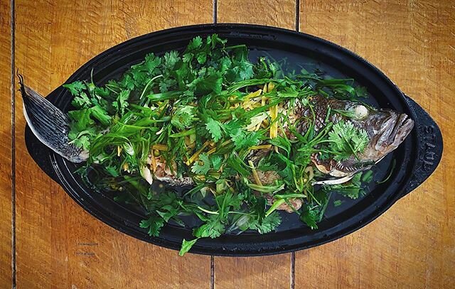 Chinese-style whole steamed fish is probably my favorite Chinese dish (and the only one my Japanese mom would make regularly). Here, steamed black sea bass is topped with ginger, scallions, and cilantro; and then doused in smoking hot oil, which rele