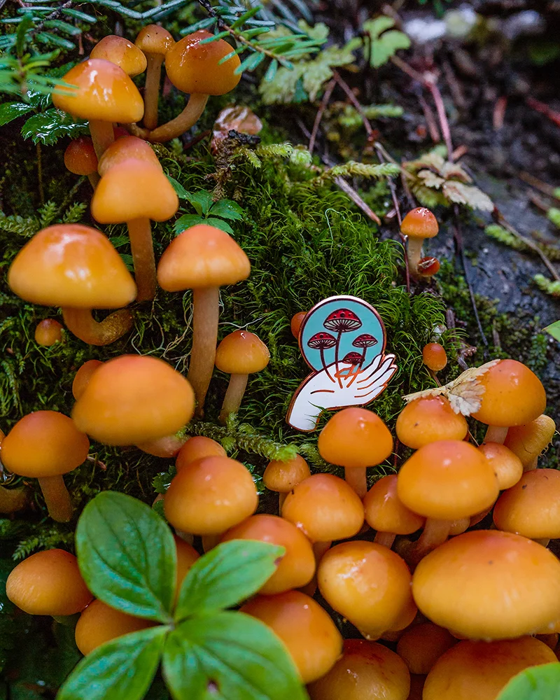frolik-studio-hand-mushroom-enamel-pin-natureshot-1000.jpg