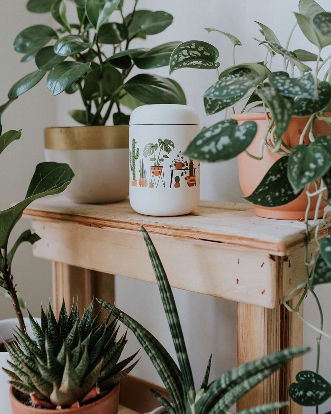 Good news! 🌿 We're re-upping on a batch of our collab &quot;House Plants&quot; Carter mugs with @fellowproducts. 🌵 They are currently in production and we expect them back in stock in the next few weeks. 🍃 Keep an eye out for their return. (Big th