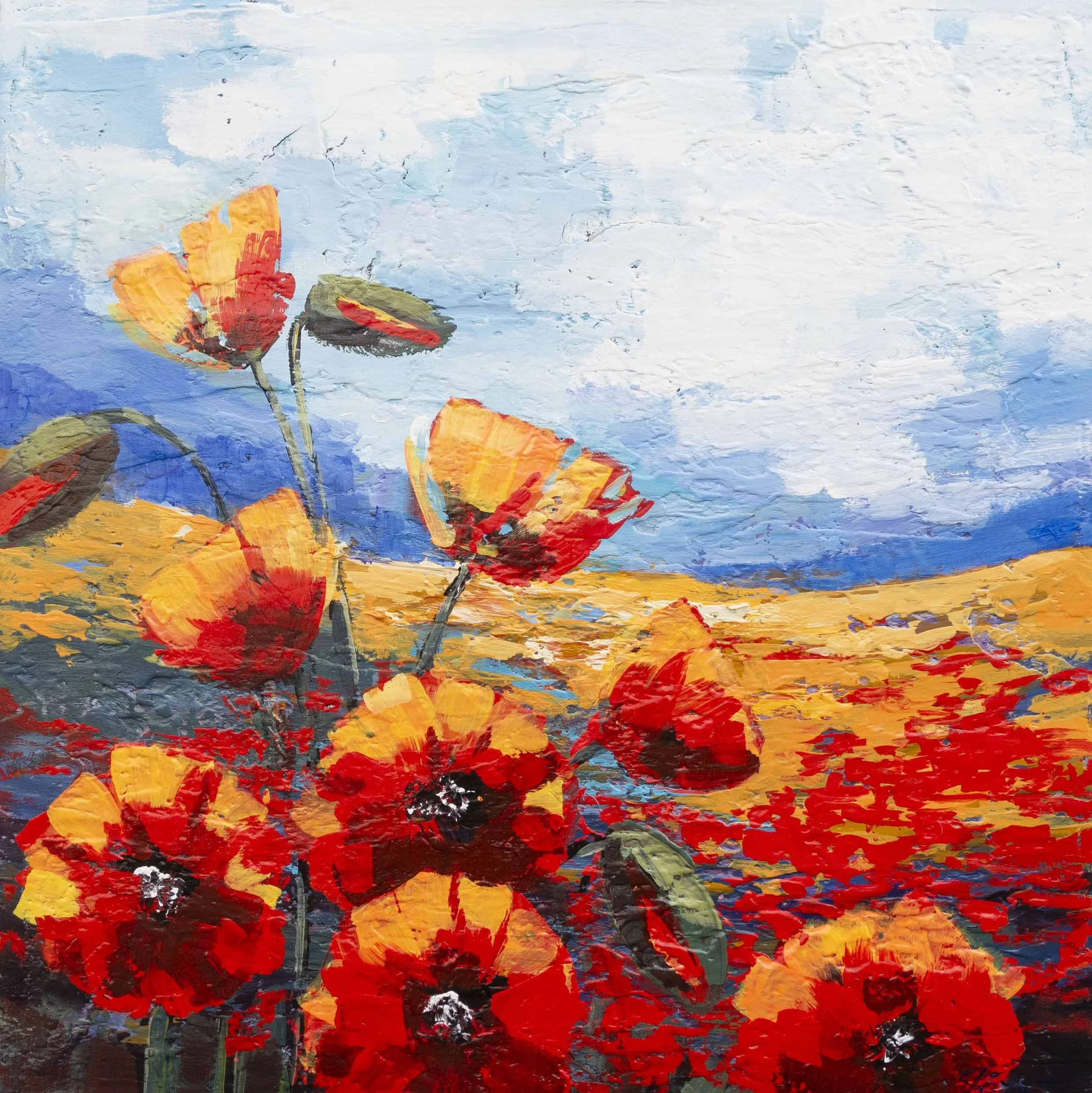 In between the hills.jpg