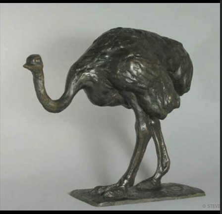 OSTRICH